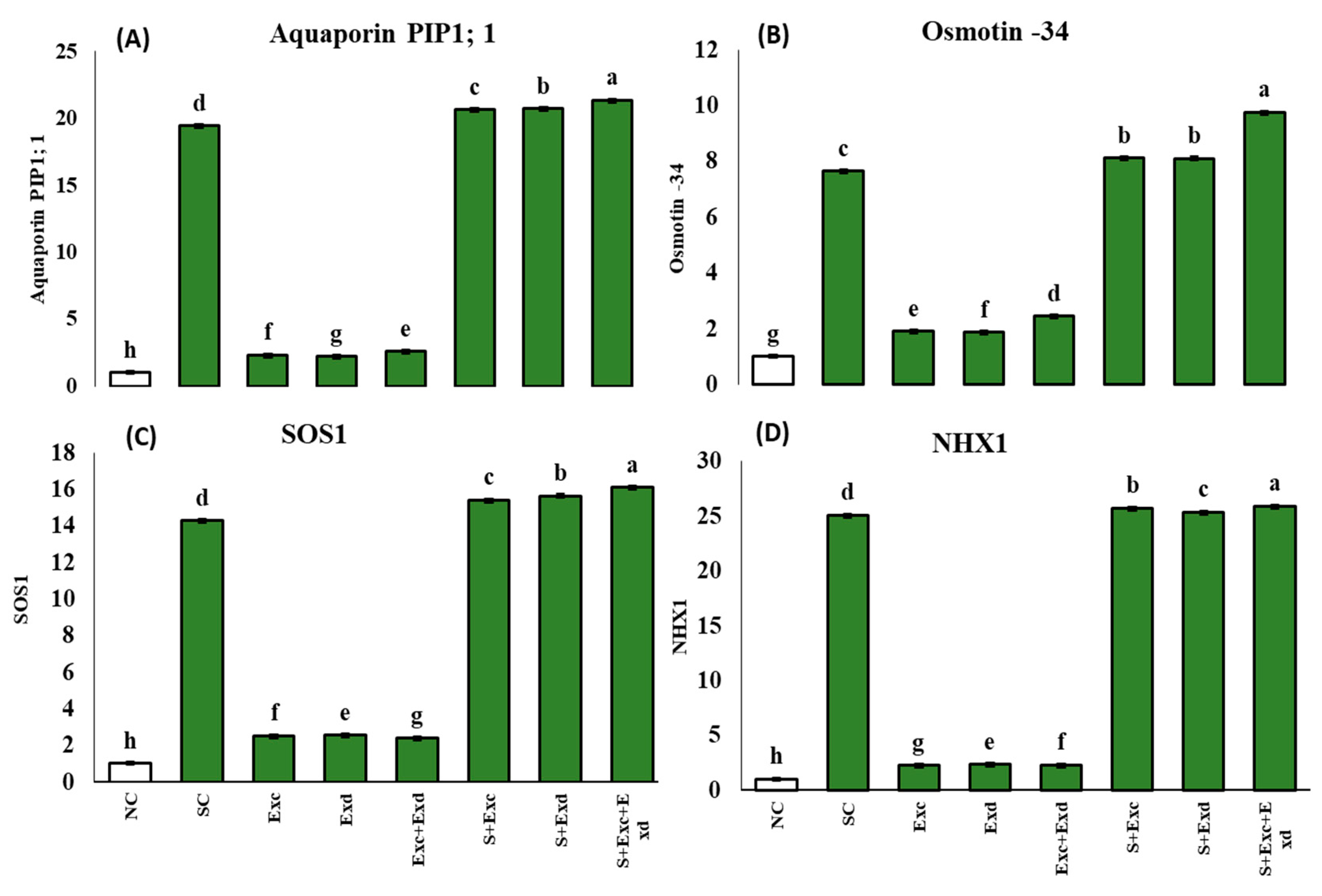 Plants 12 03714 g008