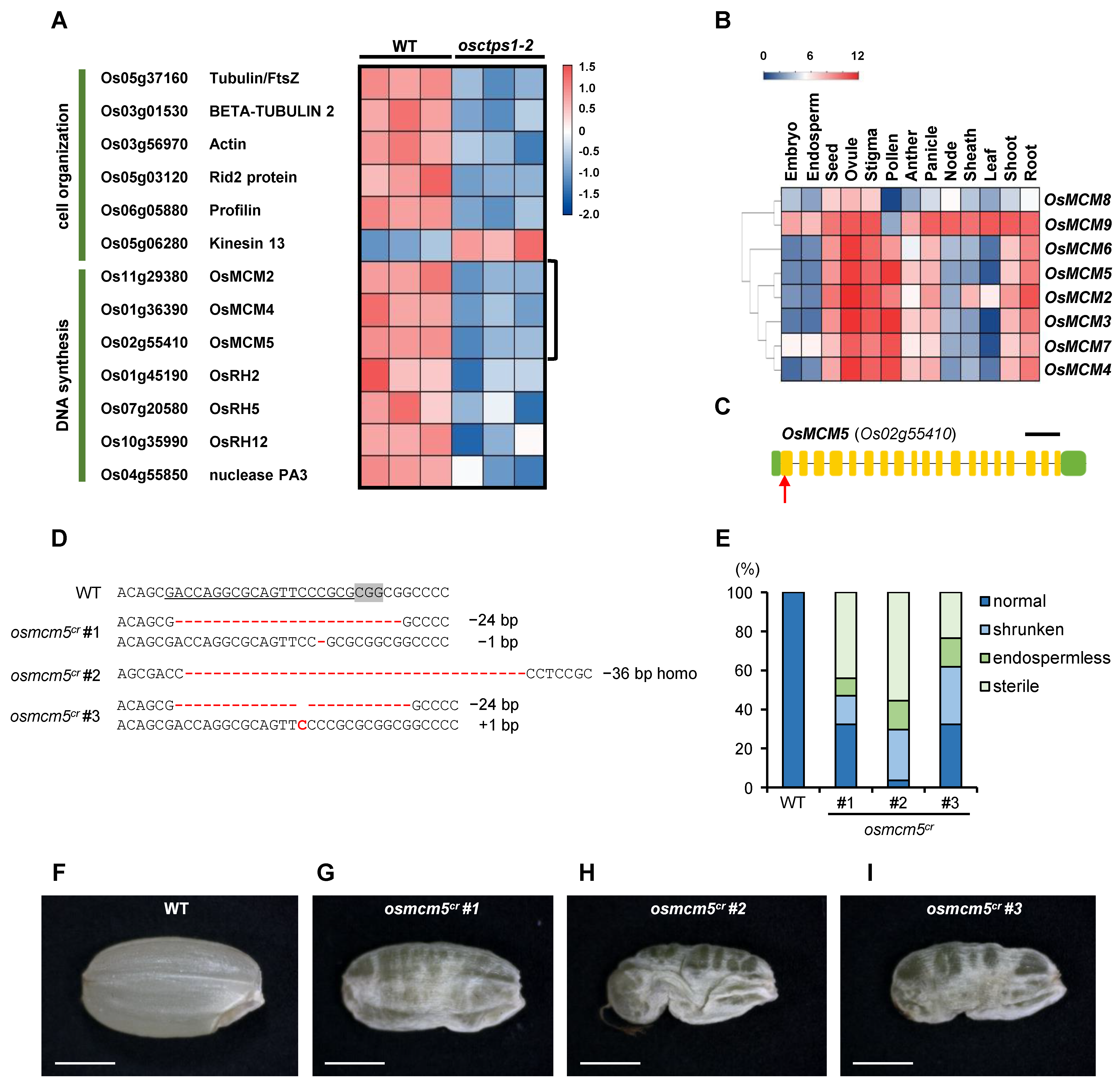 Plants 12 03715 g006