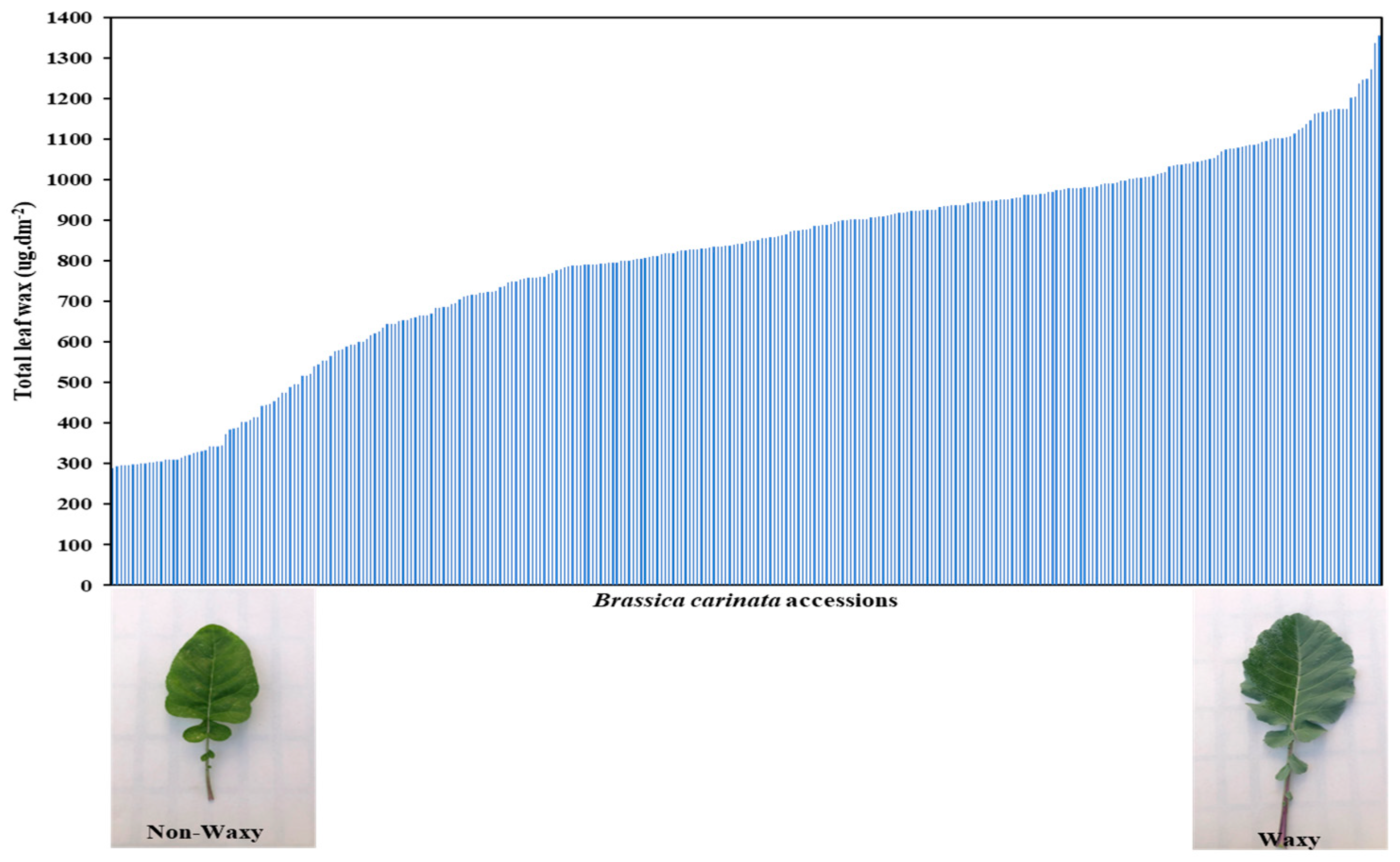 Plants 12 03716 g001