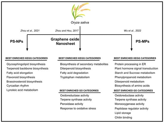 Plants 12 03717 g002