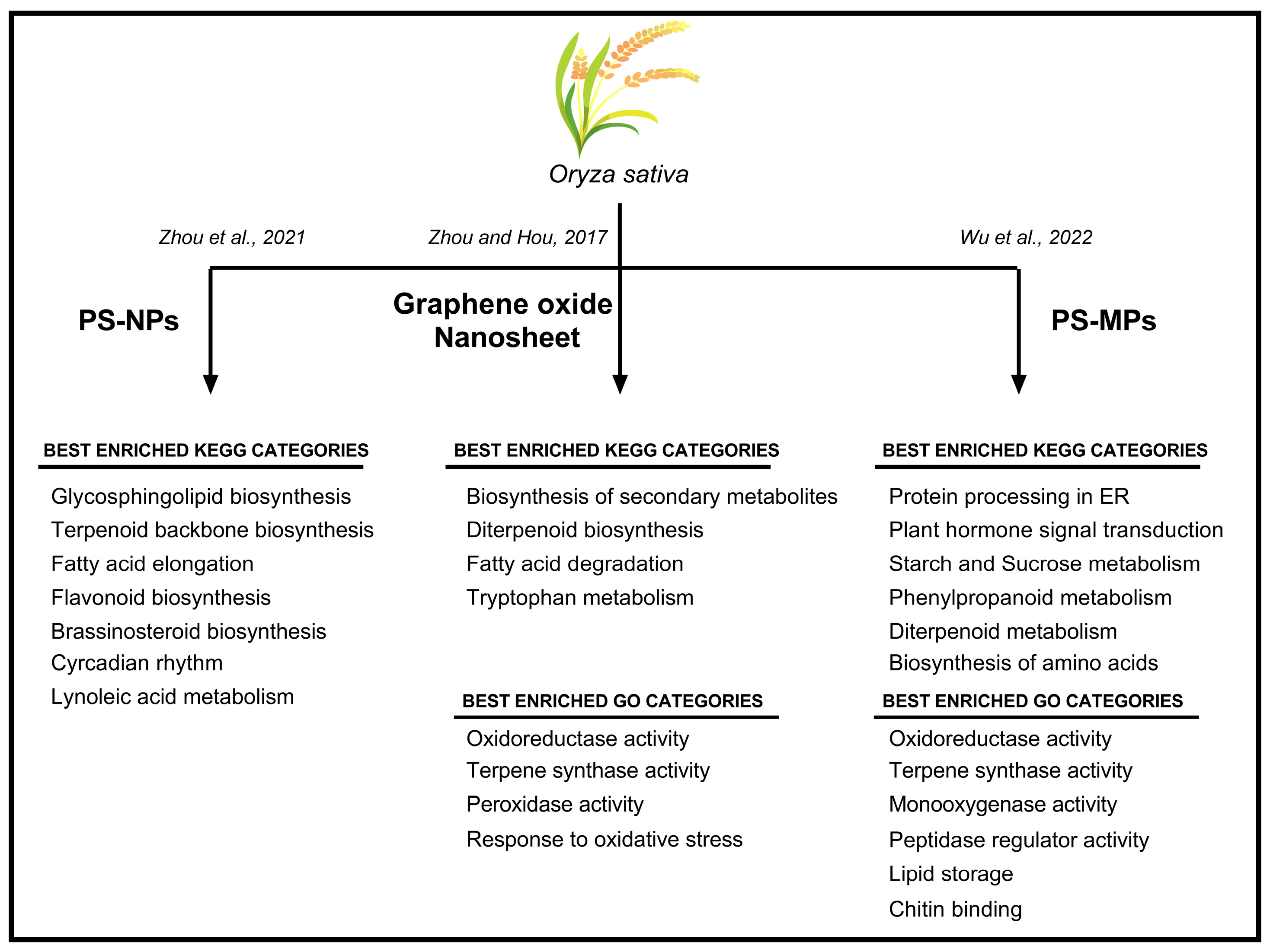 Plants 12 03717 g002