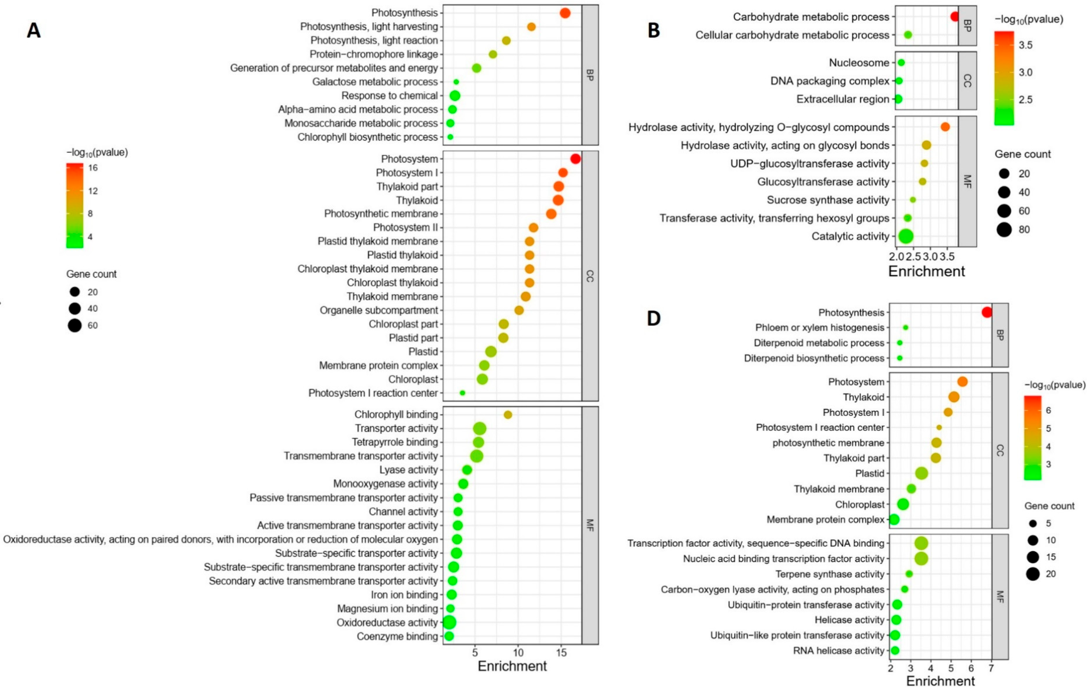 Plants 12 03718 g004a
