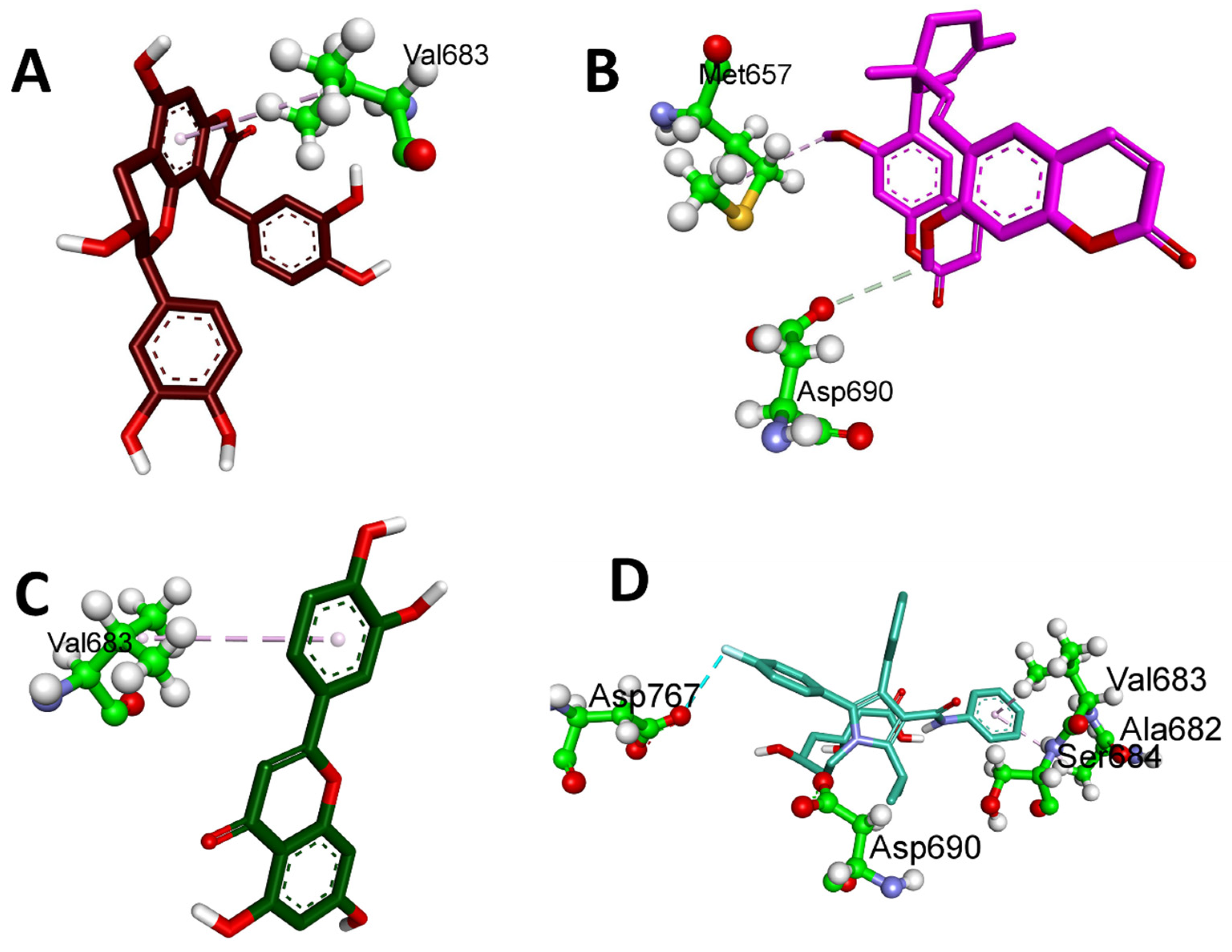 Plants 12 03722 g007