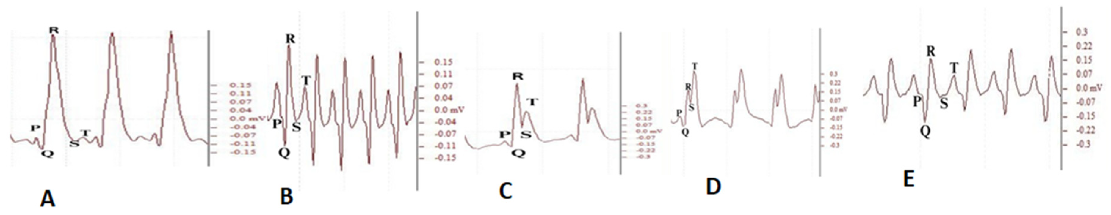 Plants 12 03722 g009