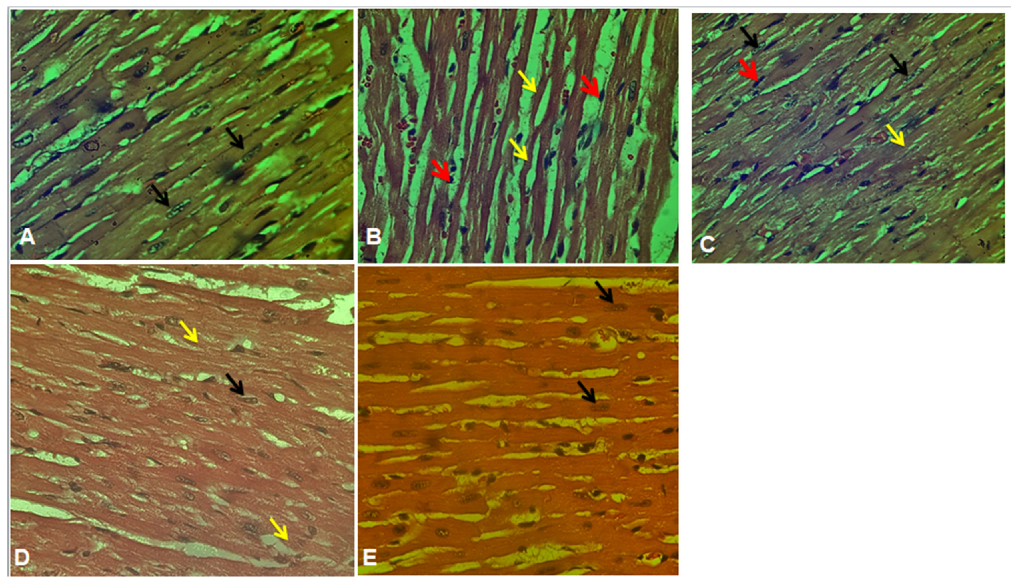 Plants 12 03722 g013