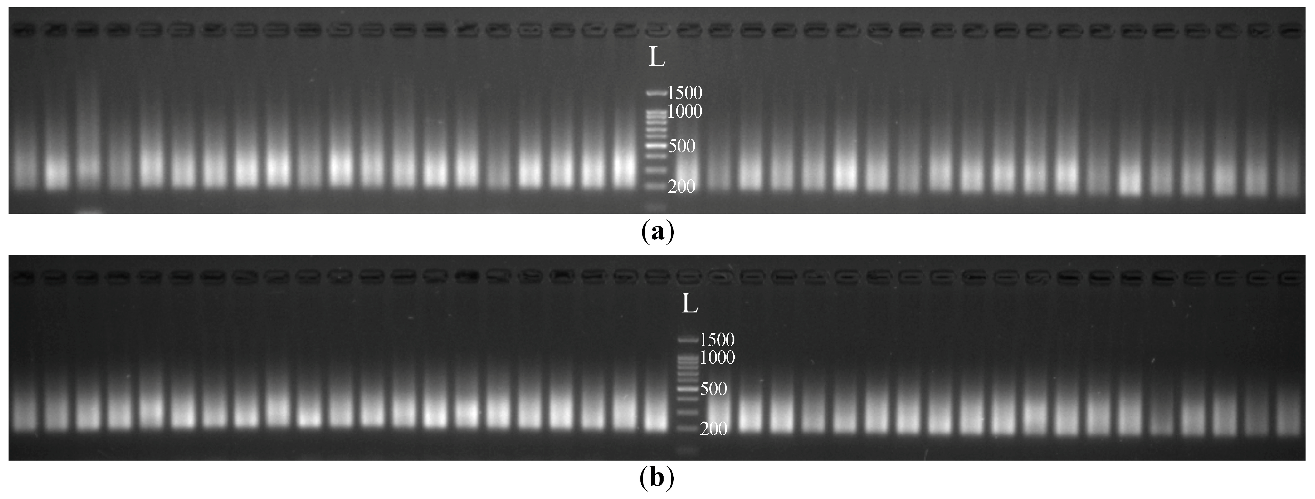 Plants 12 03725 g001