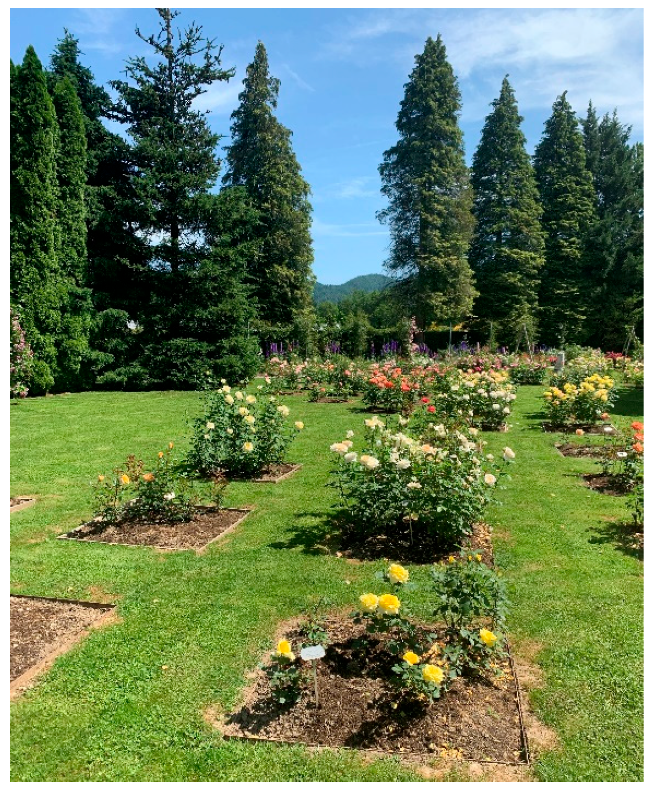 Plants 12 03734 g004