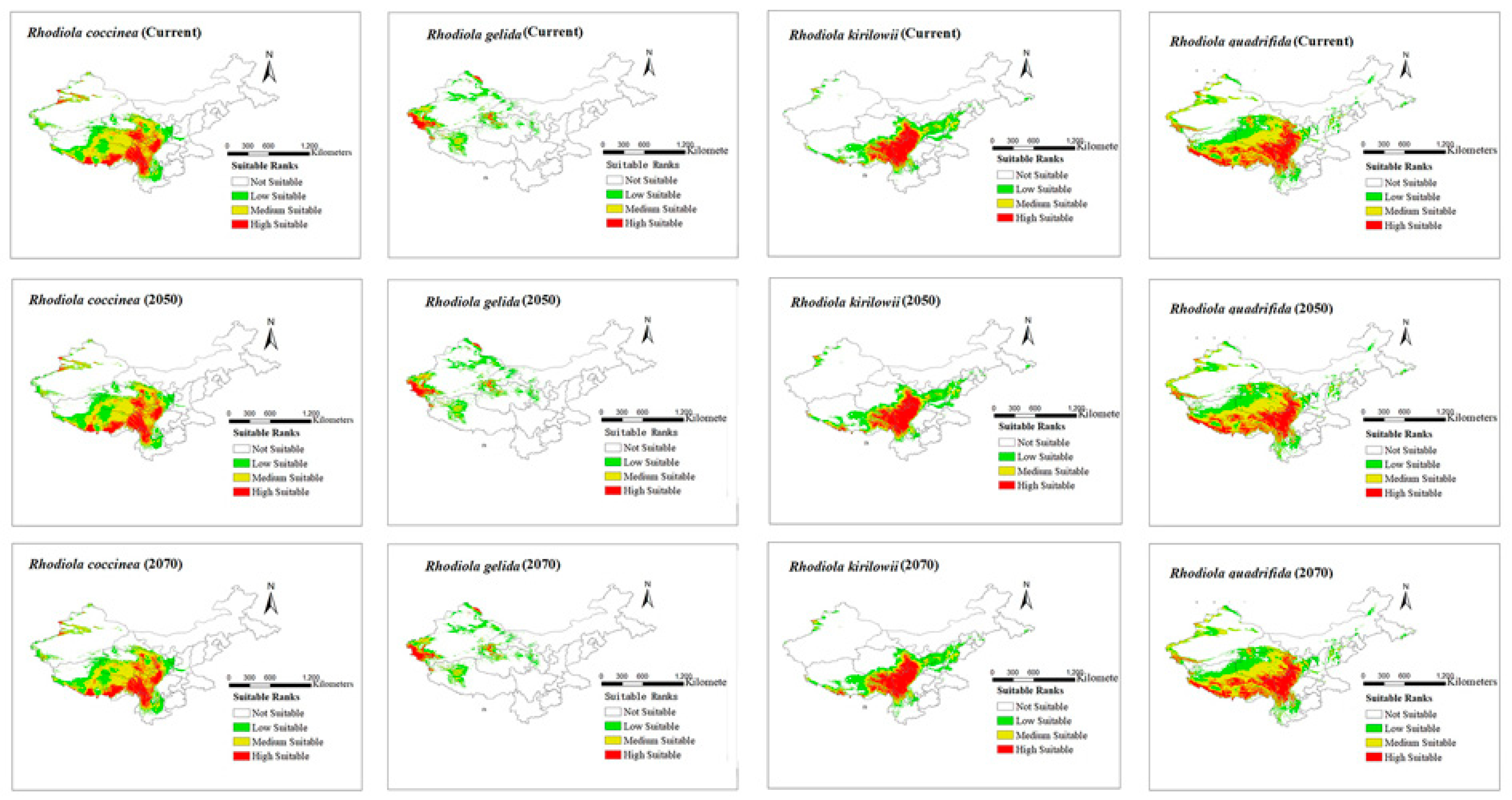 Plants 12 03735 g003