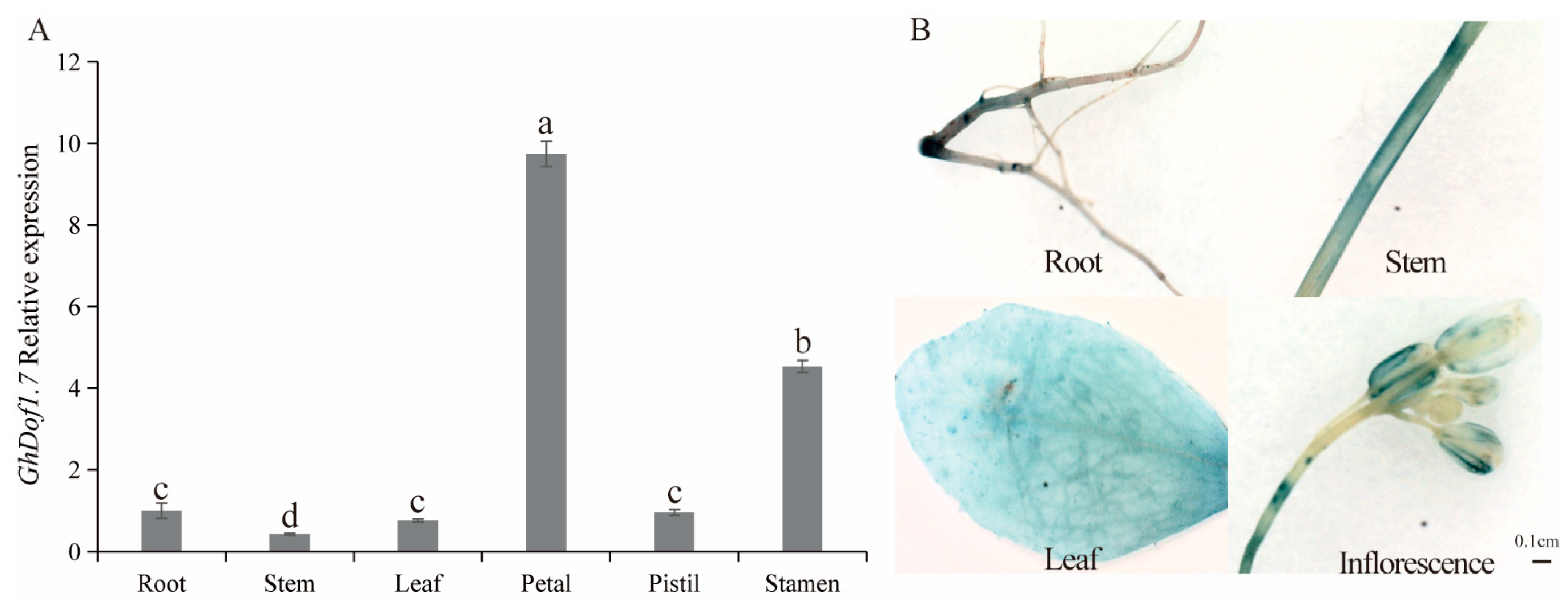 Plants 12 03740 g003