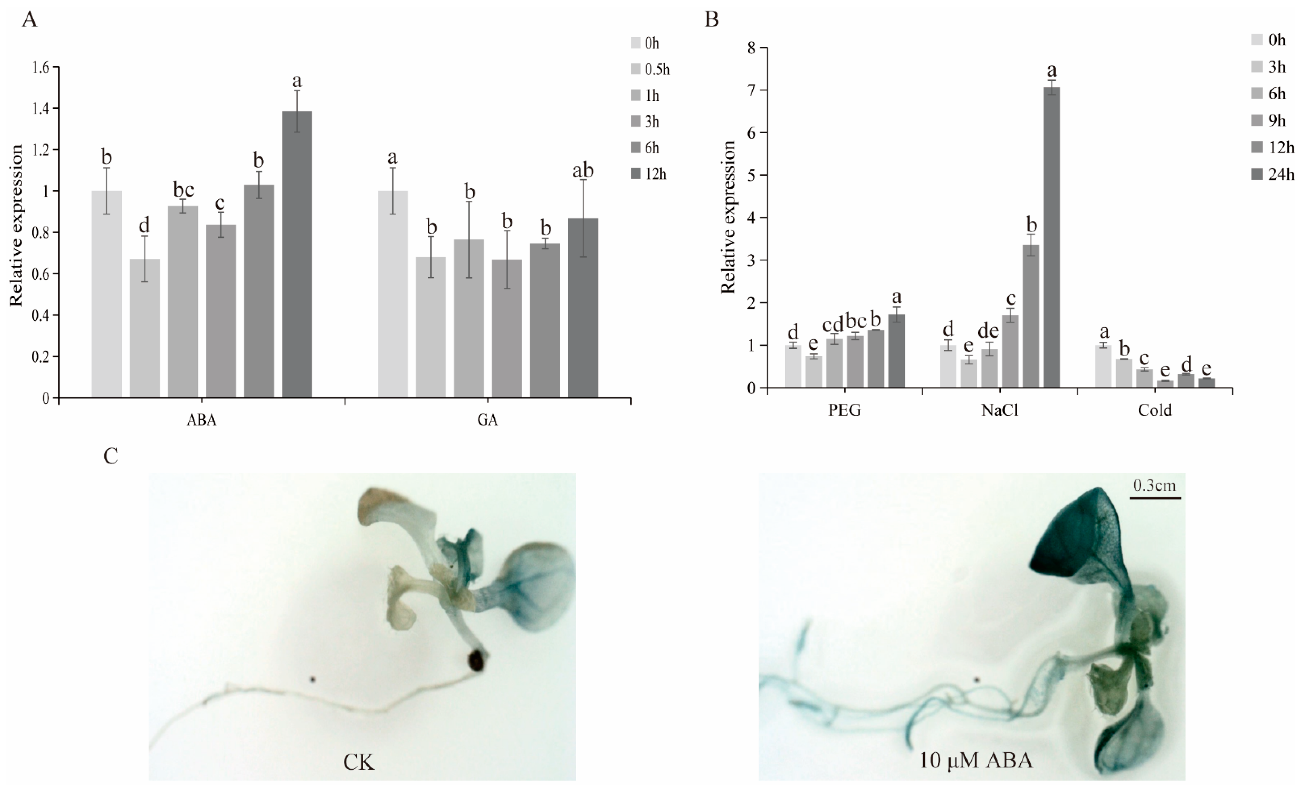 Plants 12 03740 g004
