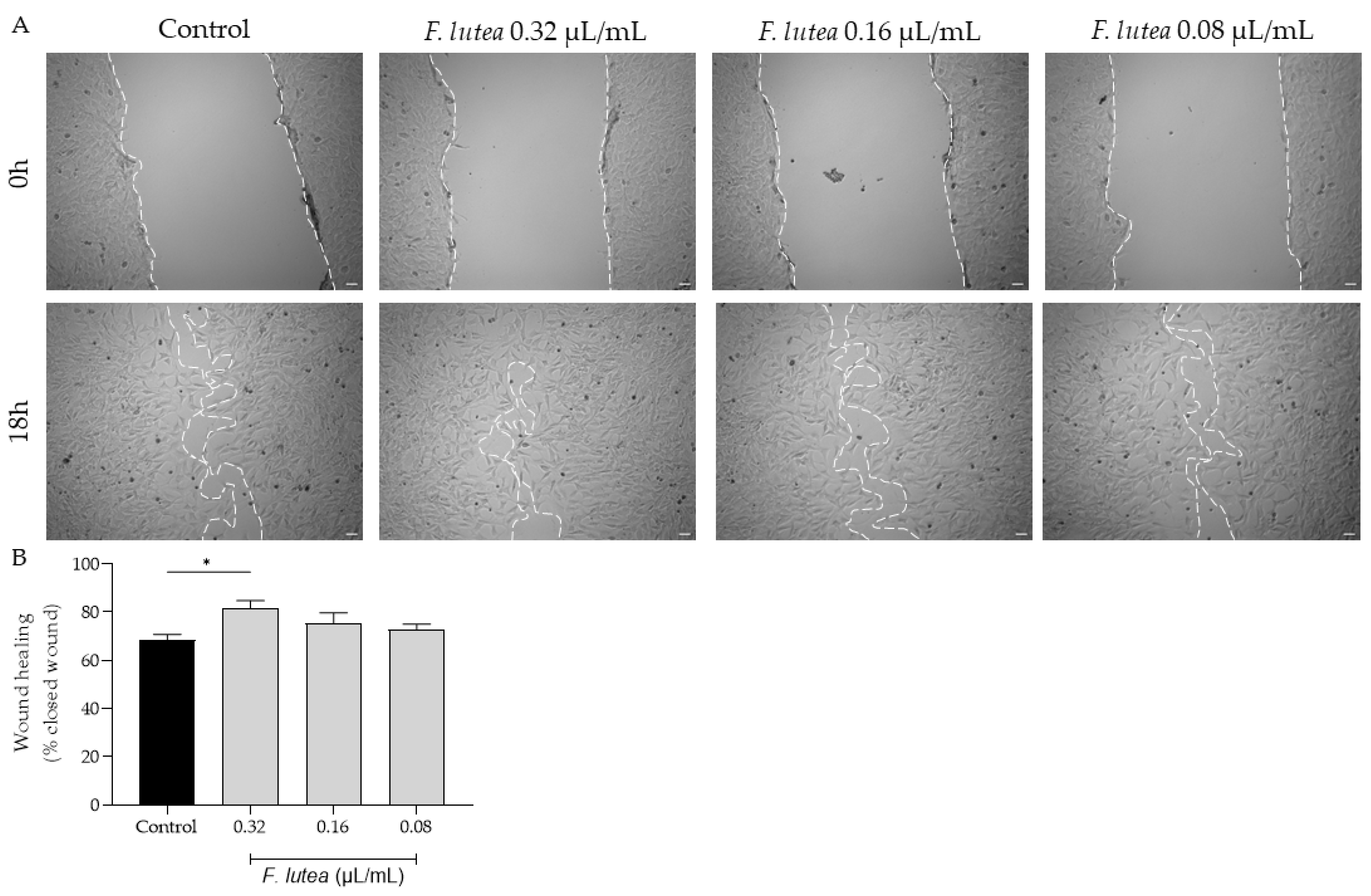 Plants 12 03741 g003
