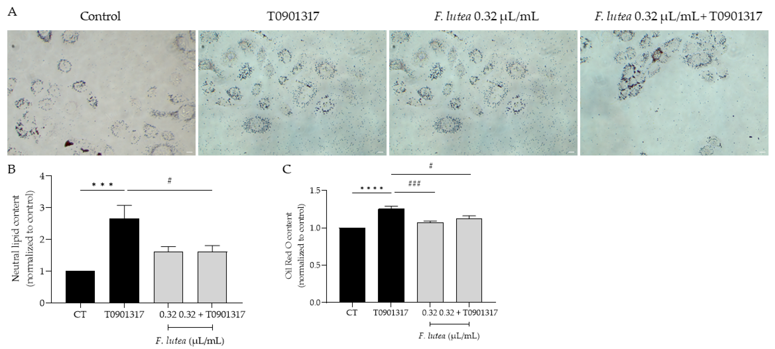 Plants 12 03741 g004