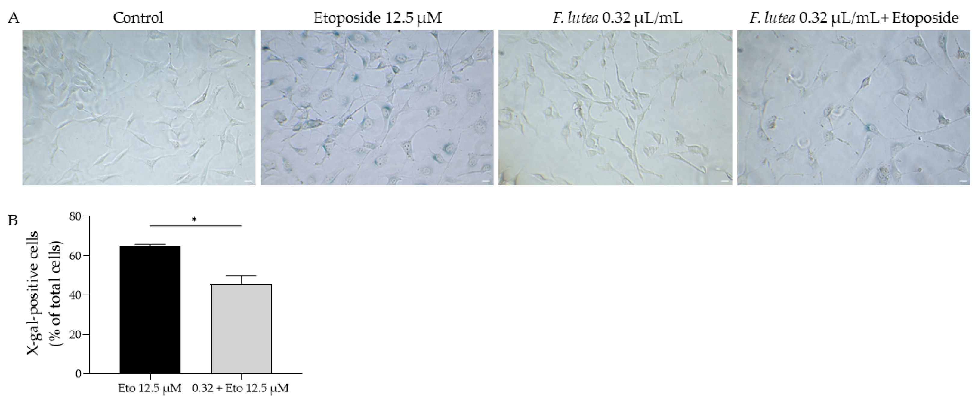 Plants 12 03741 g006