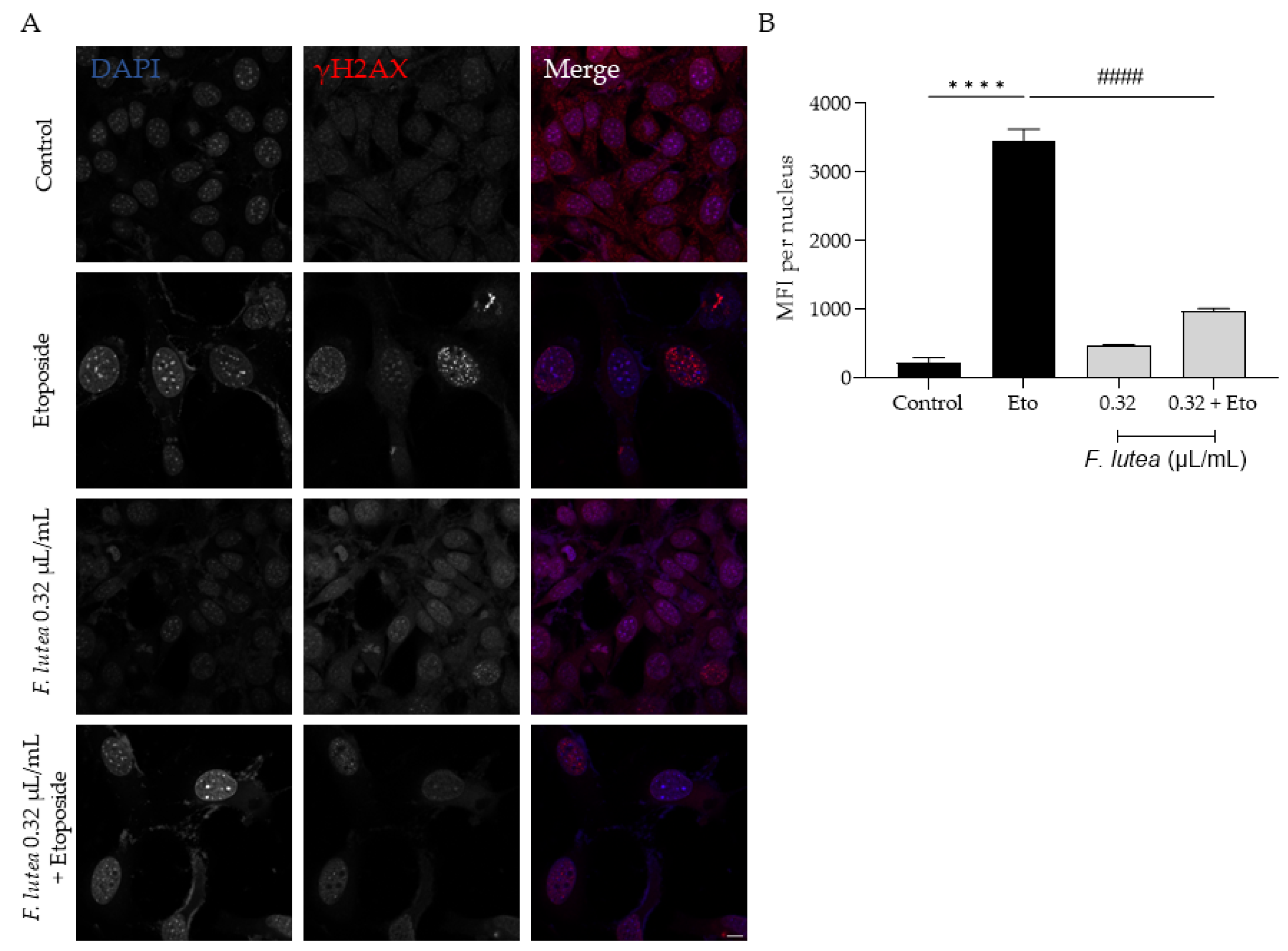 Plants 12 03741 g007