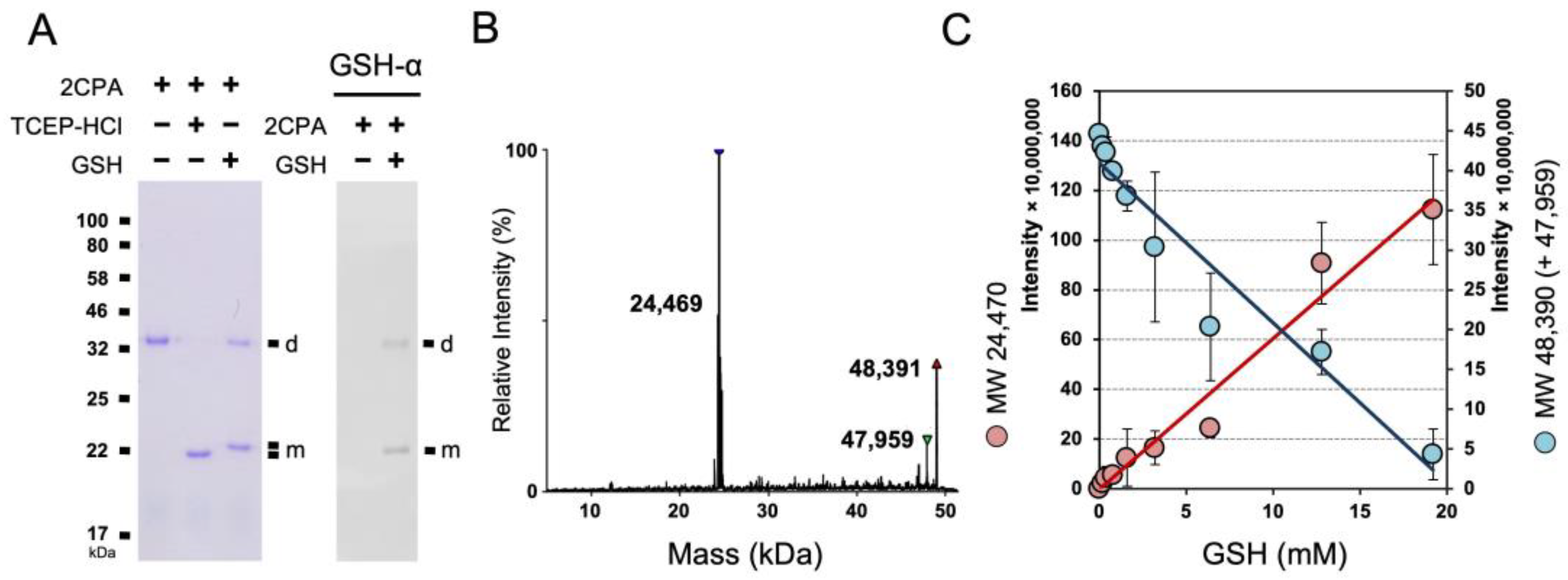 Plants 12 03745 g001