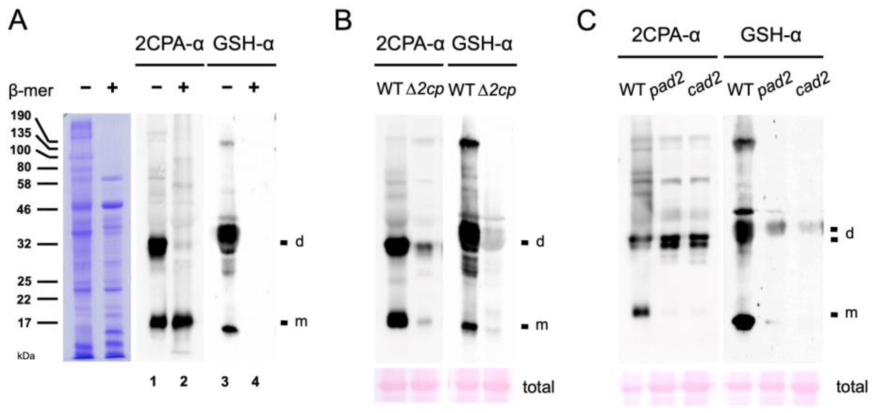 Plants 12 03745 g002