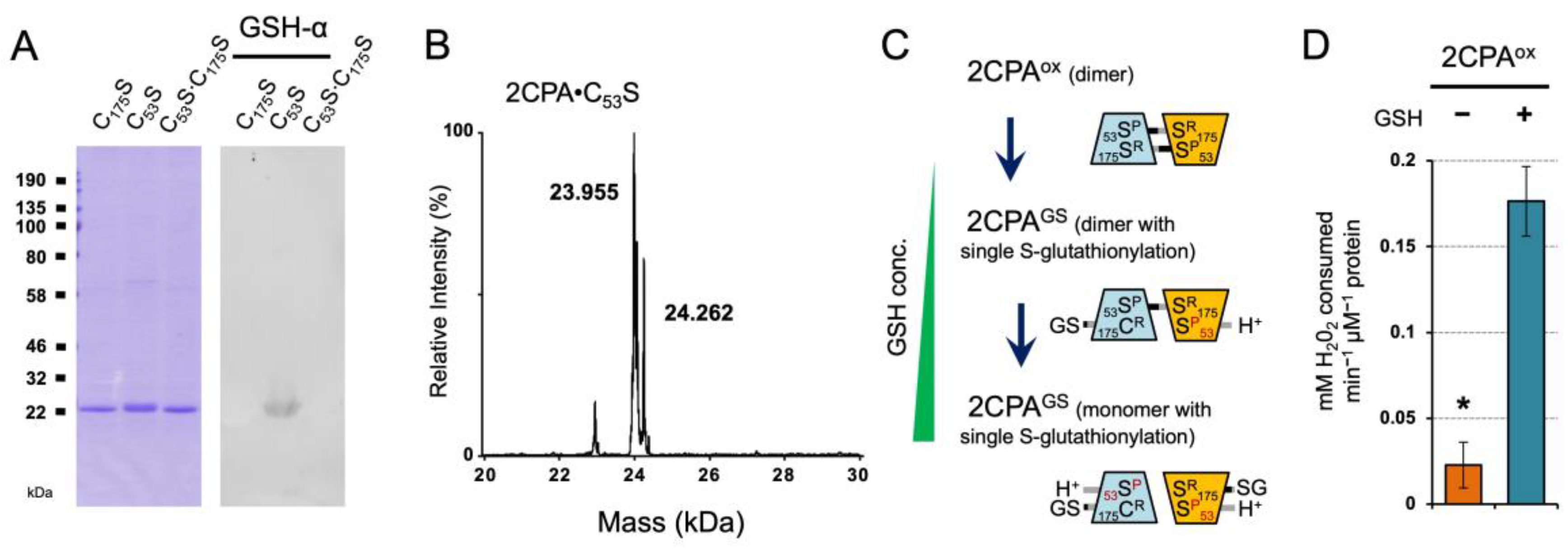 Plants 12 03745 g003