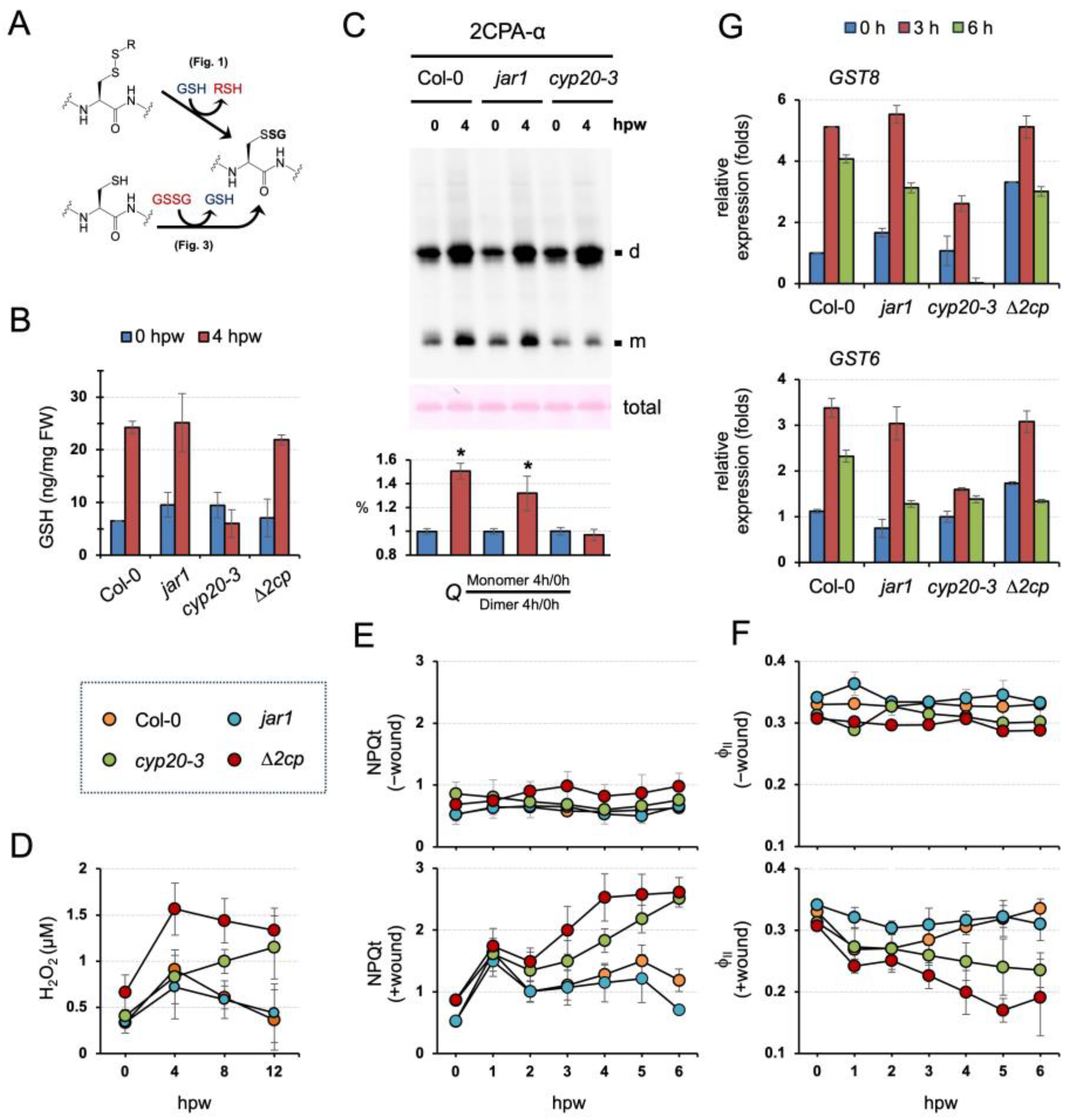 Plants 12 03745 g005