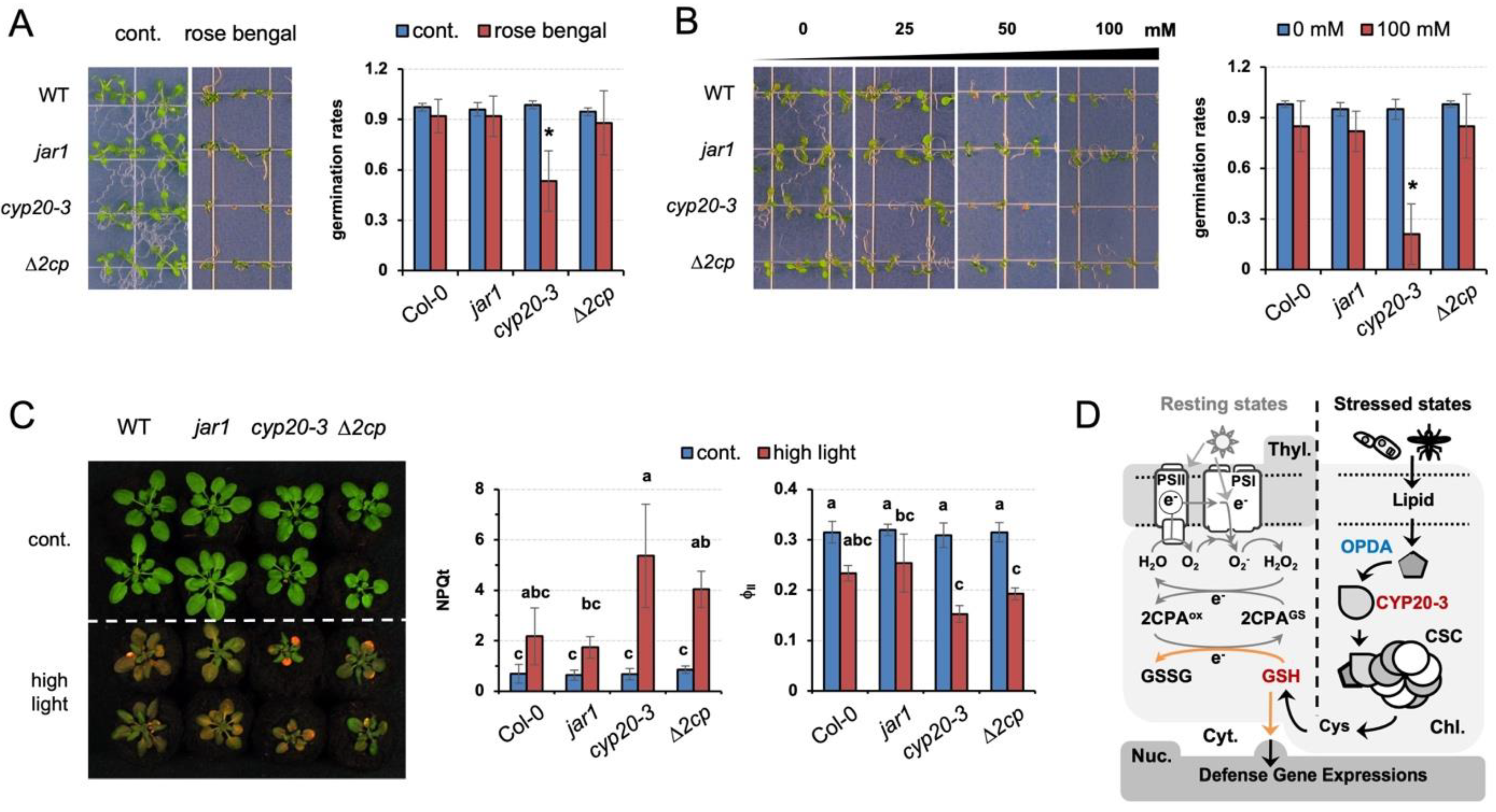 Plants 12 03745 g006
