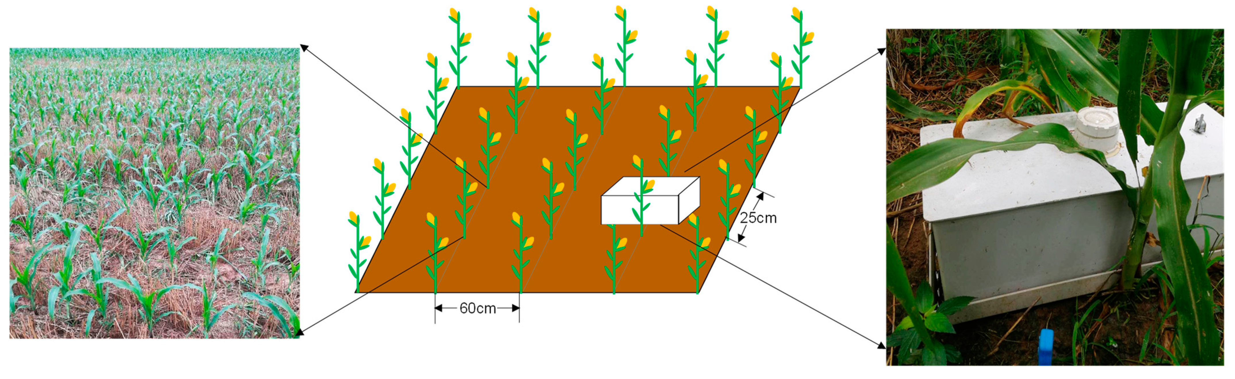 Plants 12 03749 g008