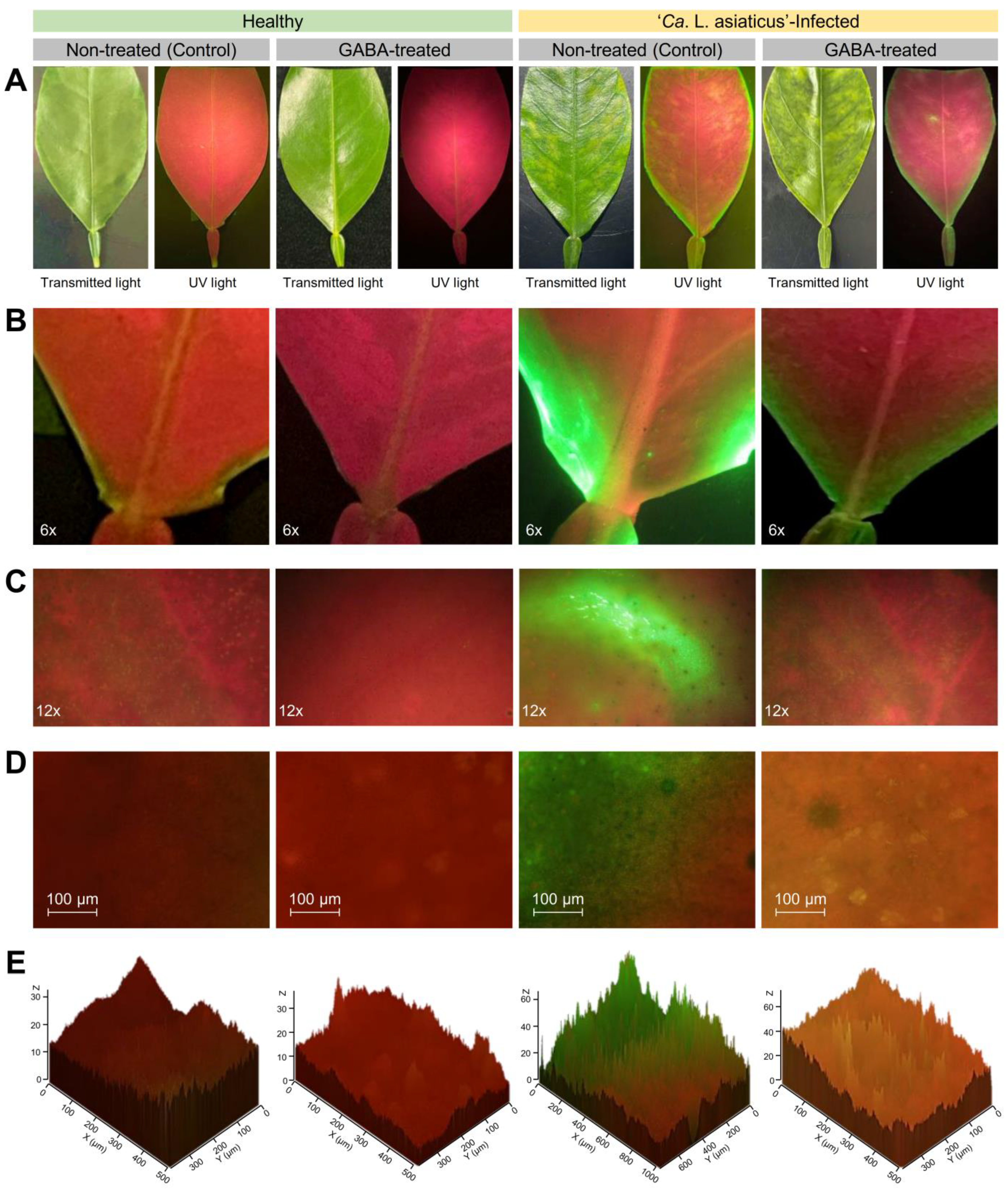 Plants 12 03753 g006