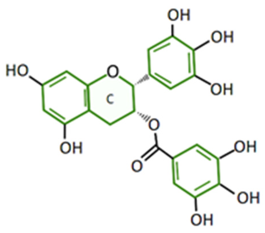 Plants 12 03757 g001