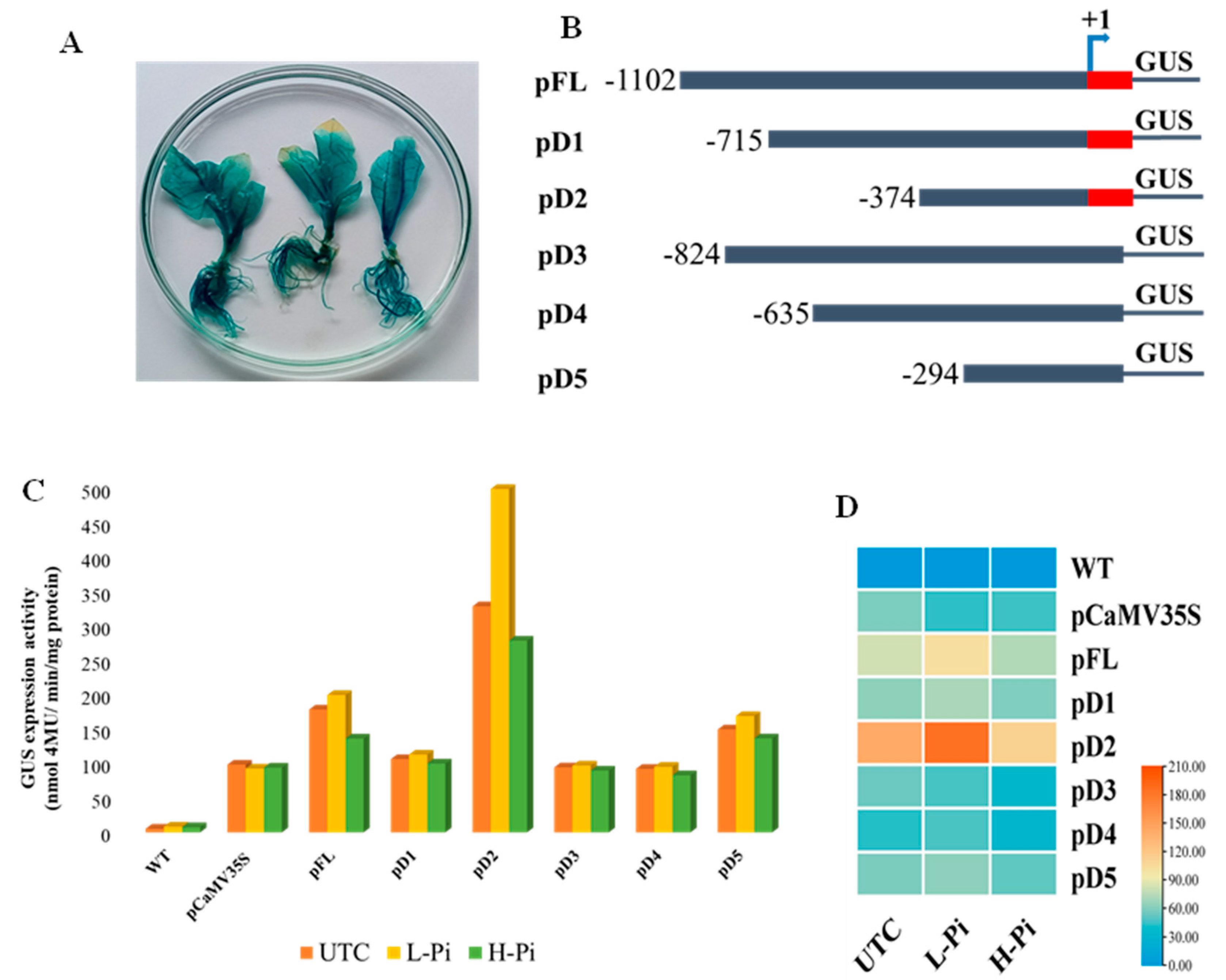 Plants 12 03760 g006