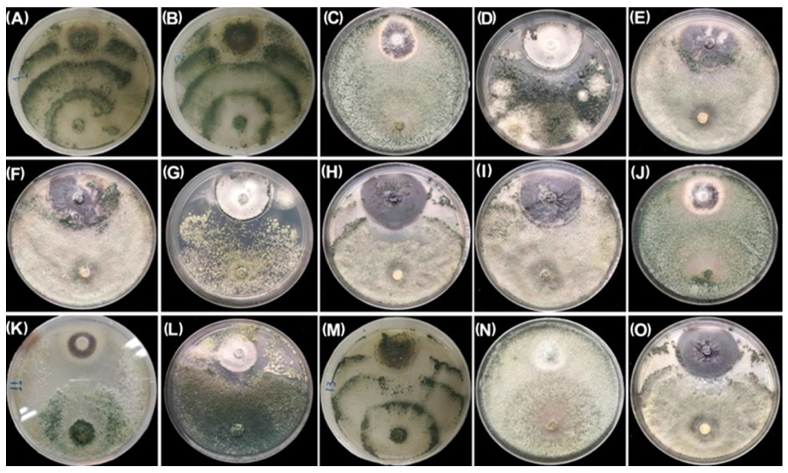 Plants 12 03761 g001 Plants 12 03761 g001