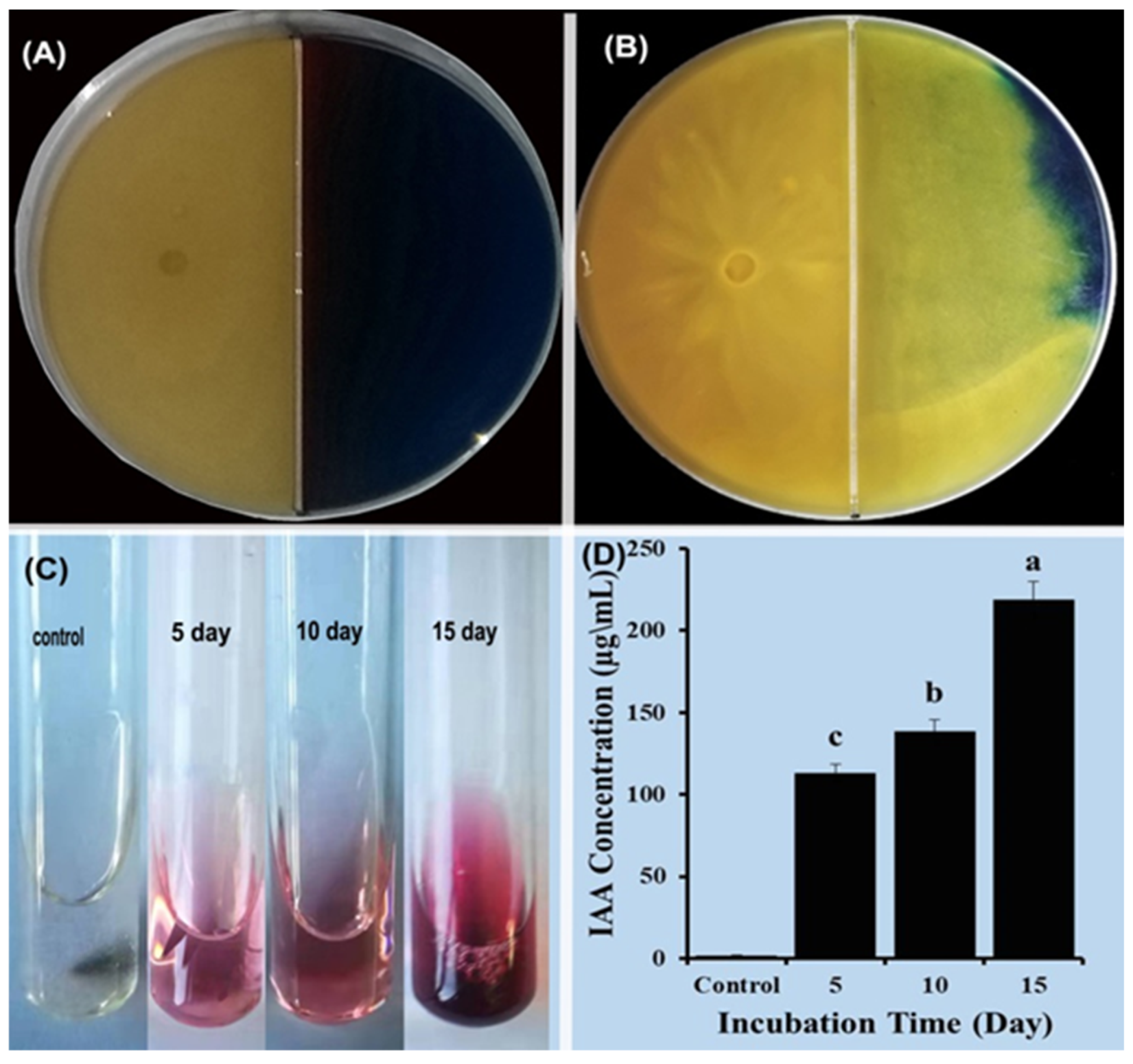 Plants 12 03761 g003 Plants 12 03761 g003