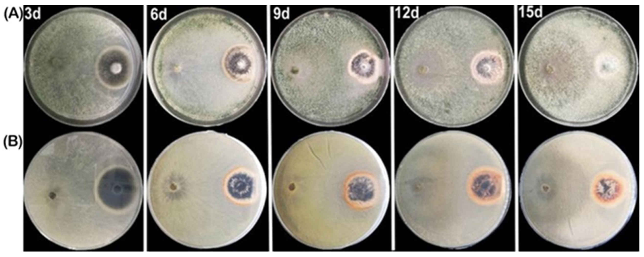 Plants 12 03761 g006 Plants 12 03761 g006