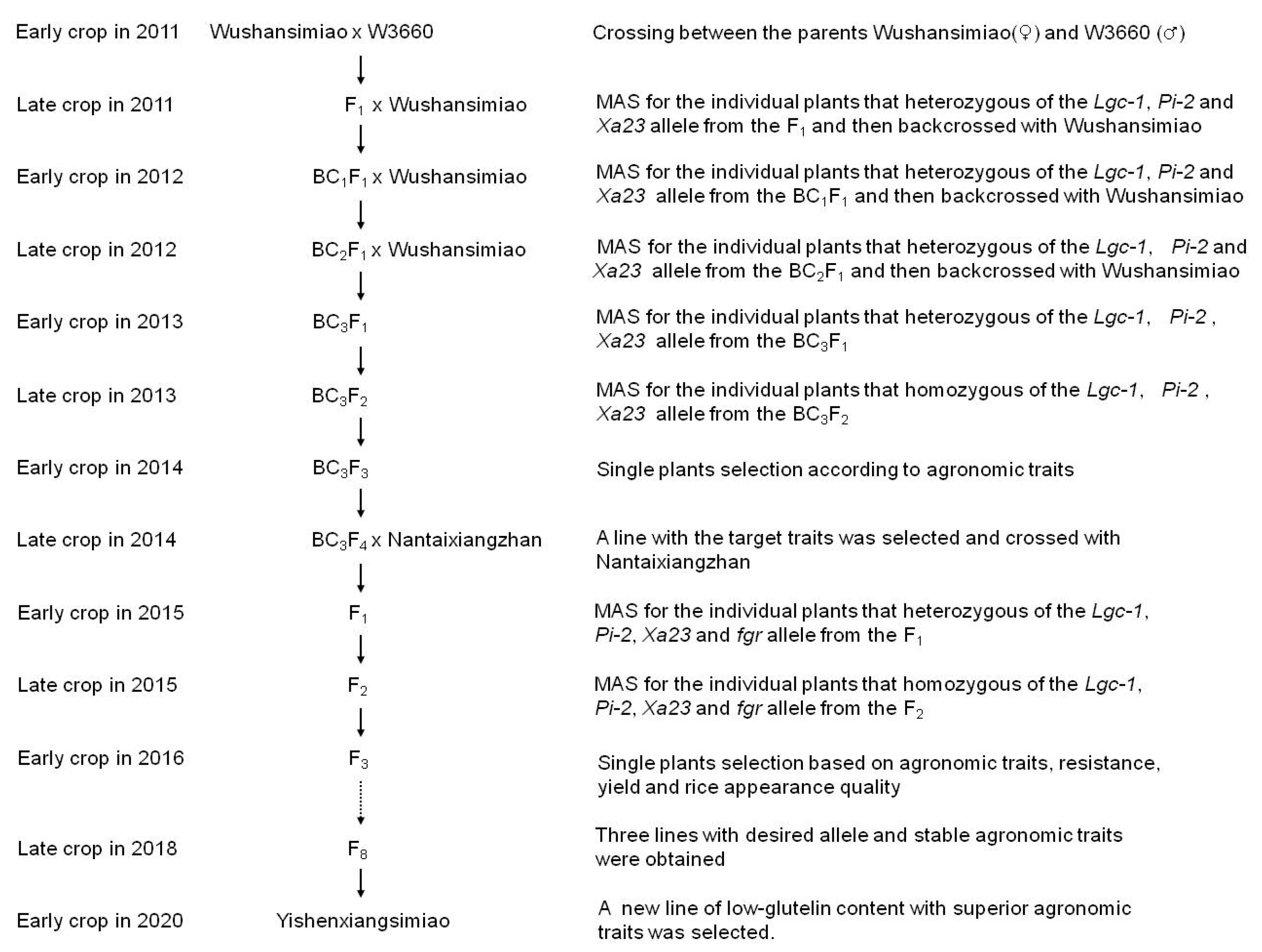 Plants 12 03763 g001