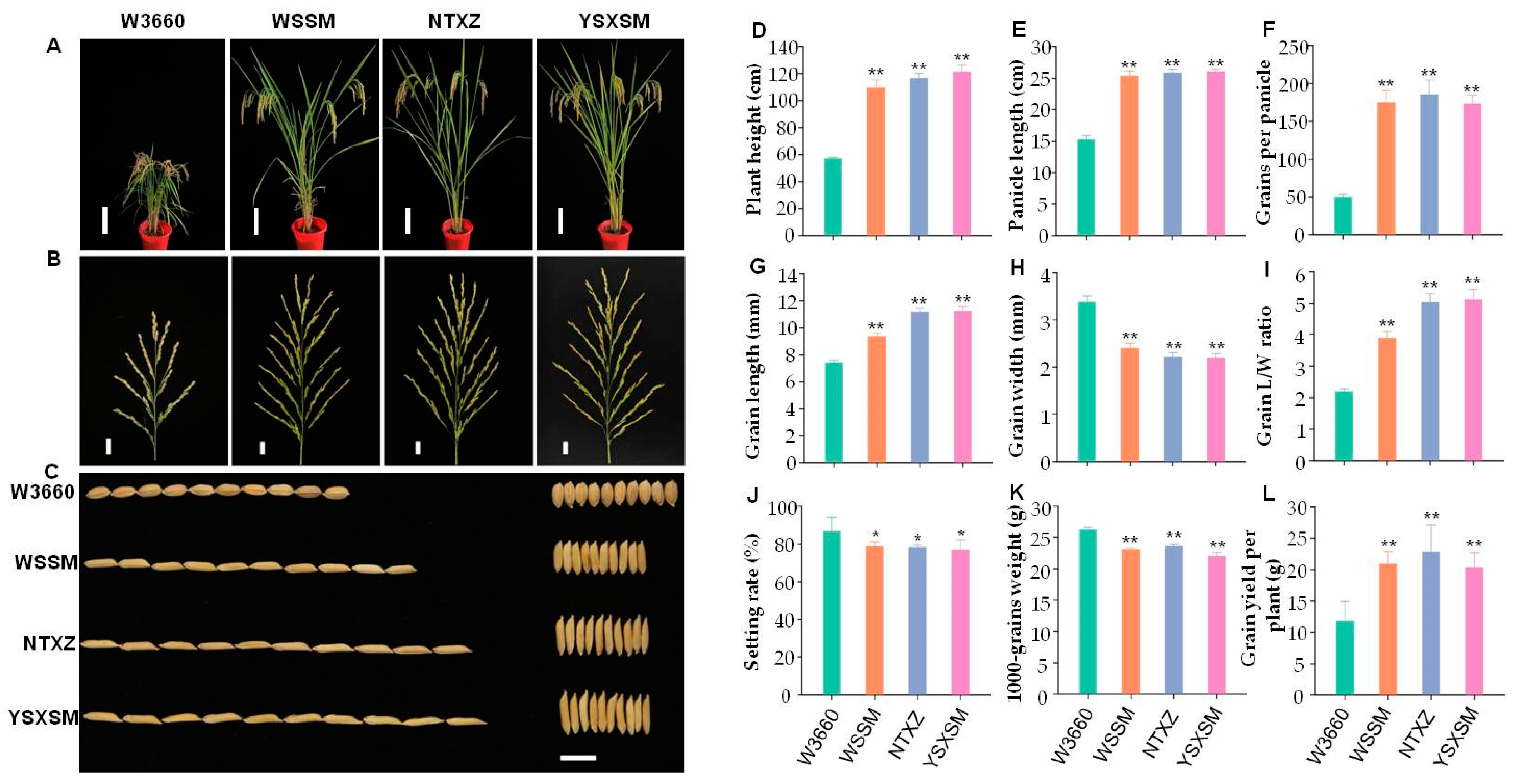Plants 12 03763 g003