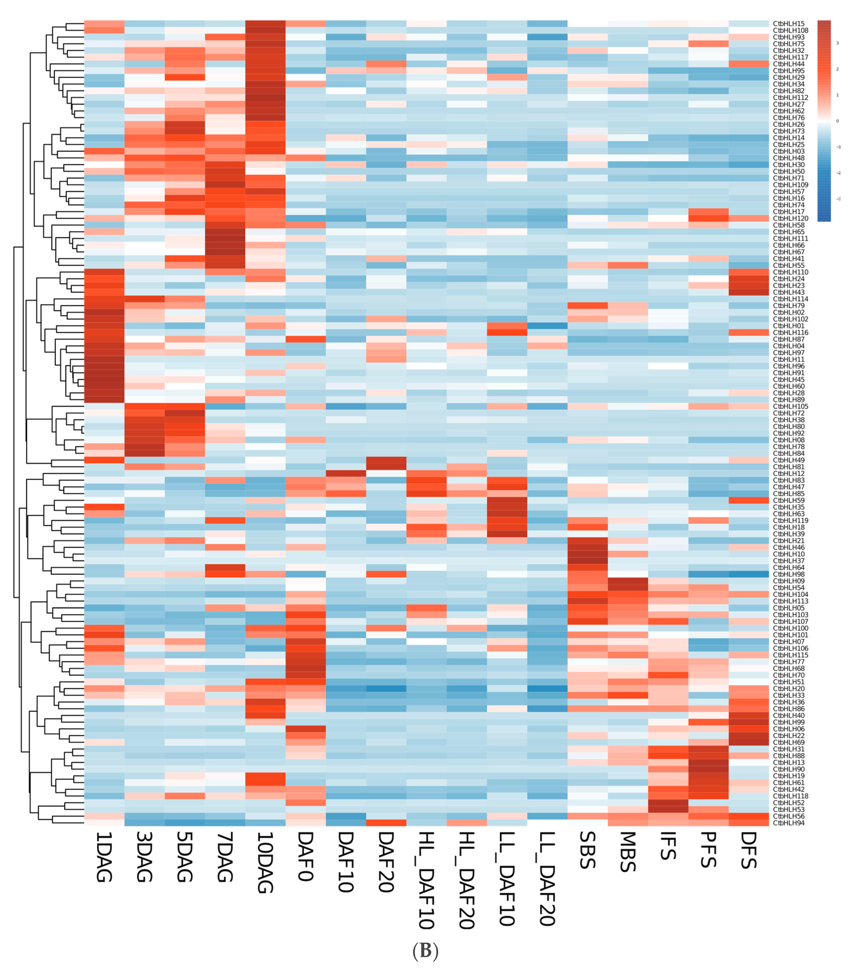 Plants 12 03764 g005b Plants 12 03764 g005b