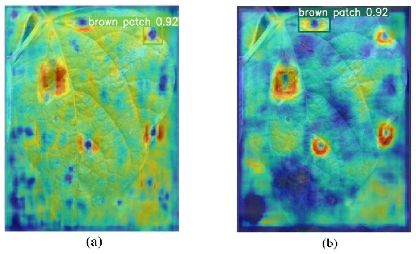 Plants 12 03765 g001