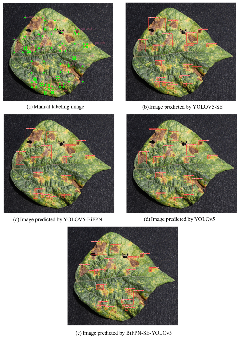 Plants 12 03765 g004