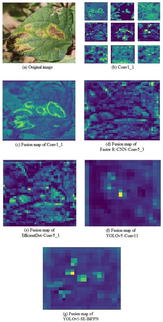 Plants 12 03765 g005