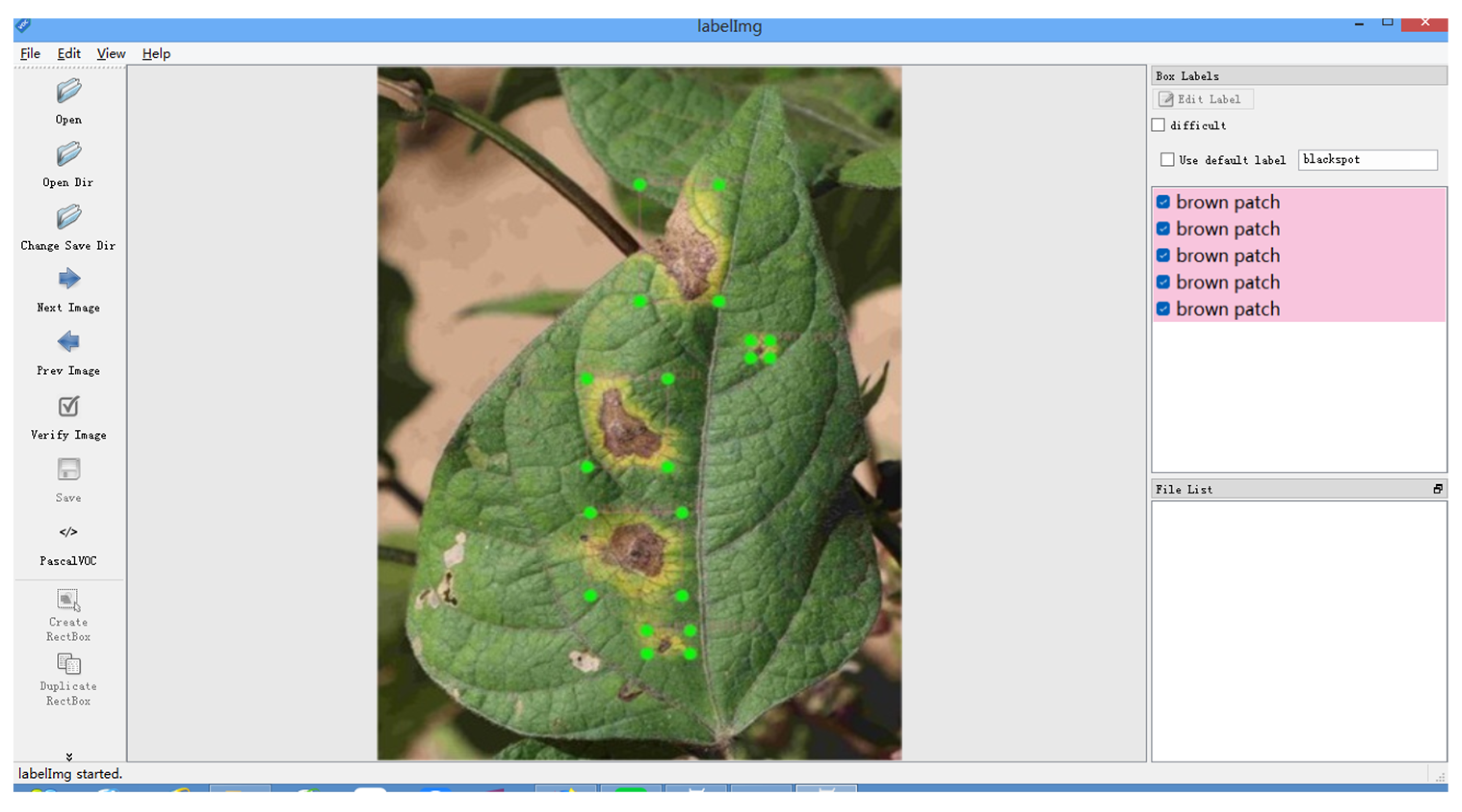 Plants 12 03765 g007