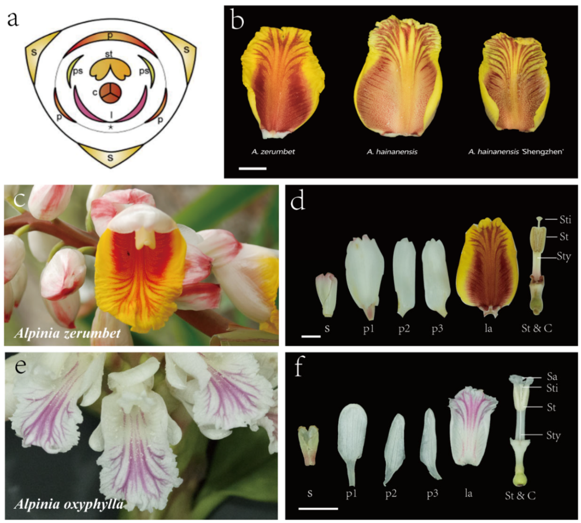 Plants 12 03766 g001 Plants 12 03766 g001