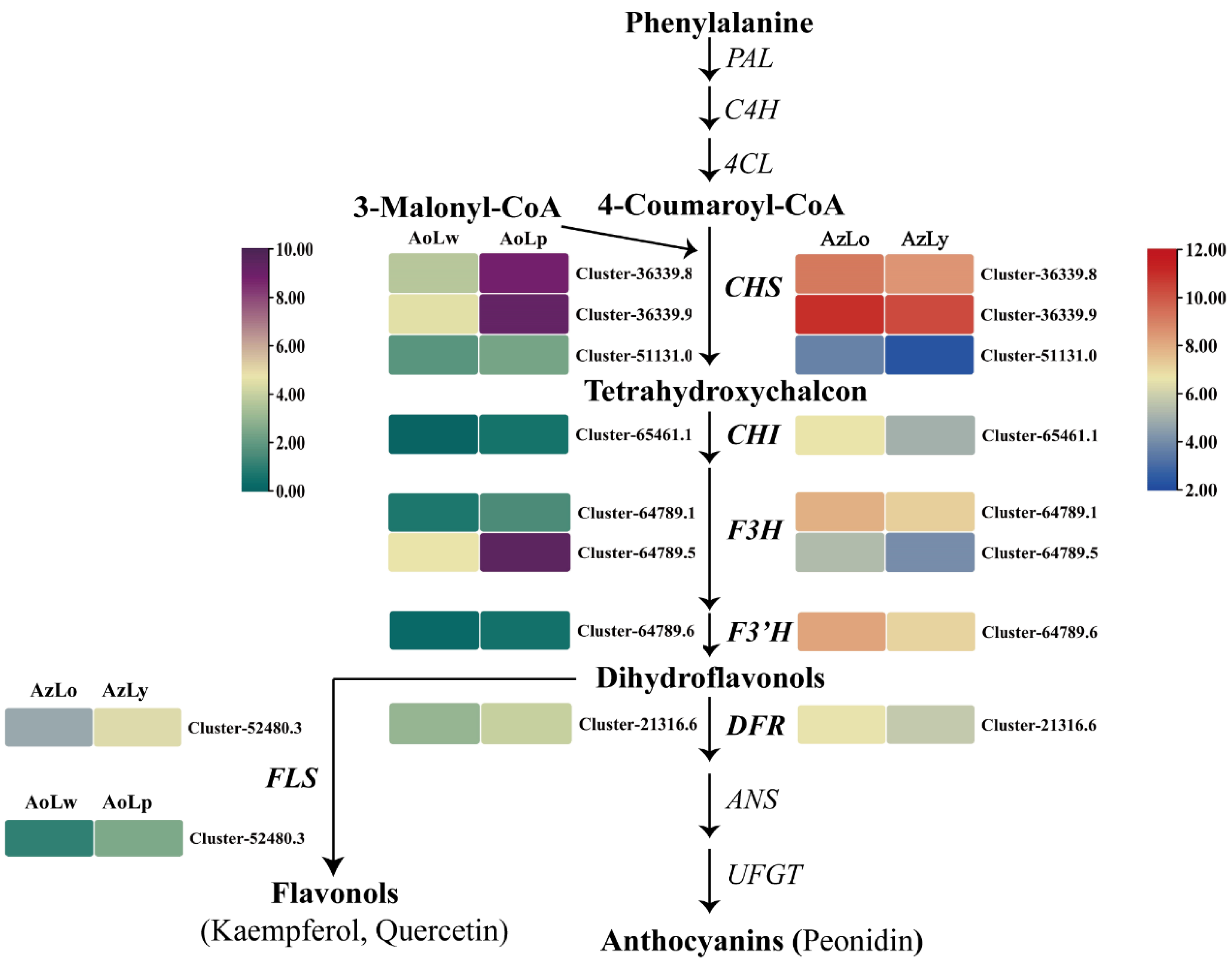 Plants 12 03766 g005 Plants 12 03766 g005