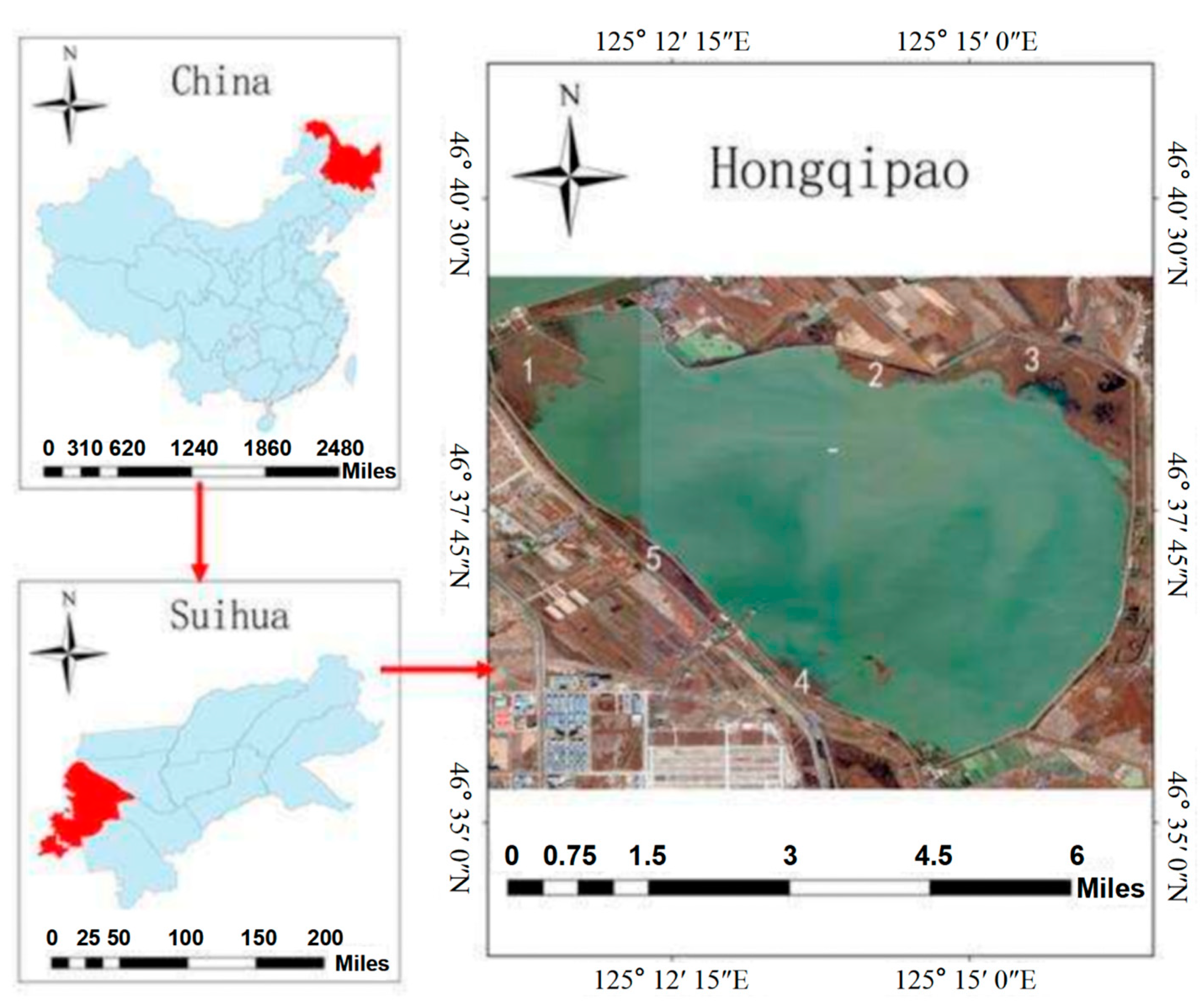 Plants 12 03767 g005