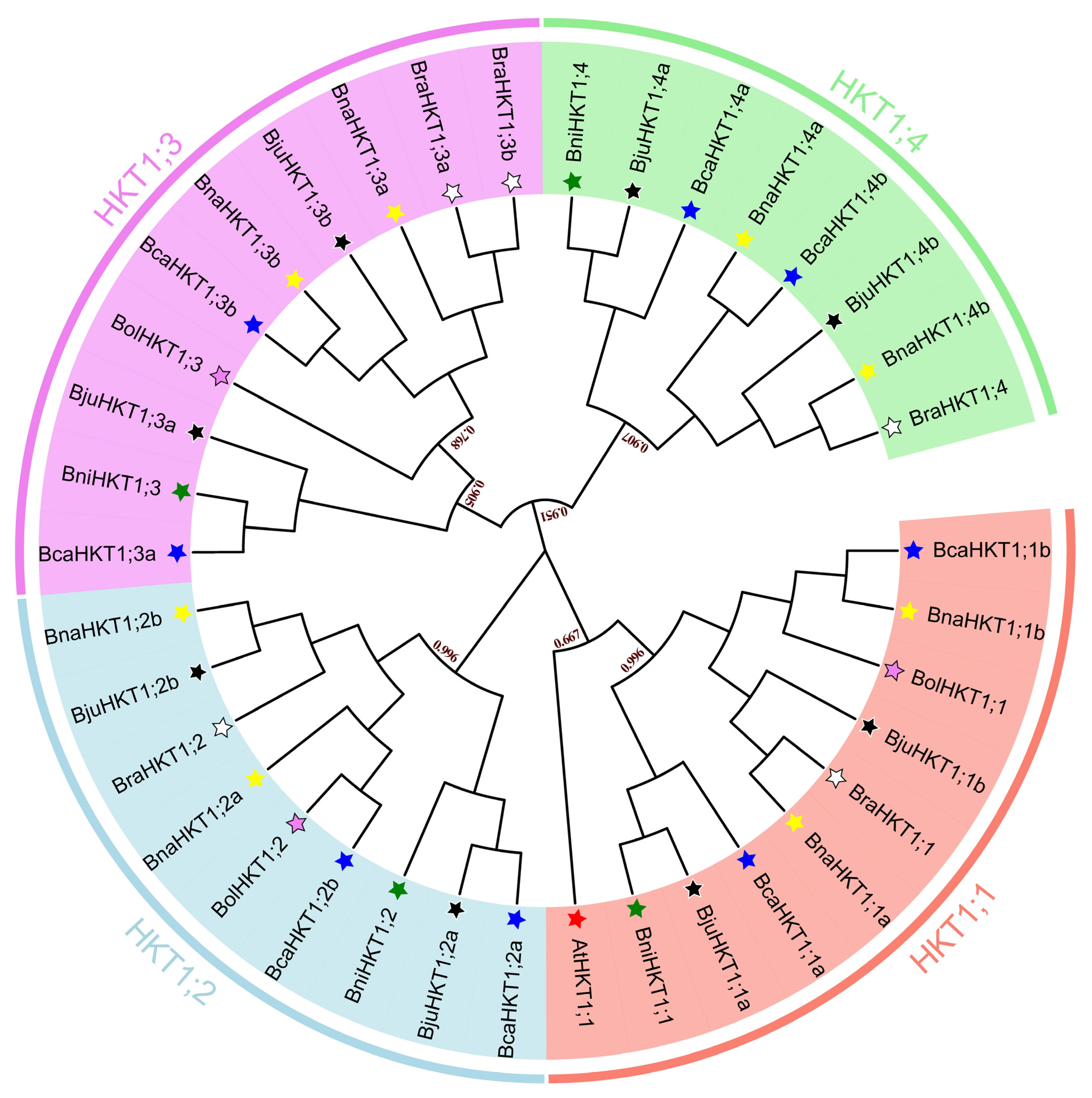 Plants 12 03768 g001