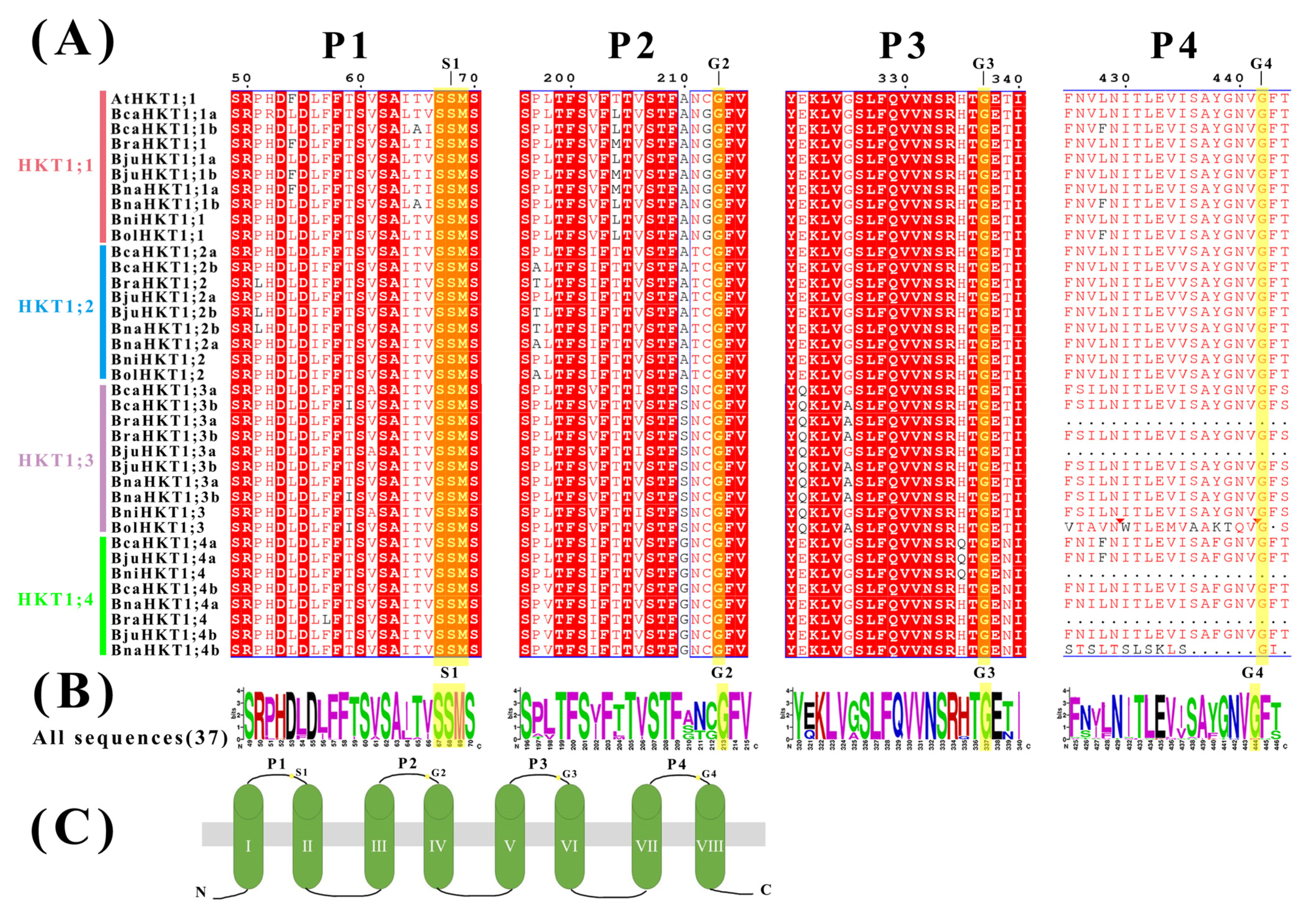 Plants 12 03768 g002