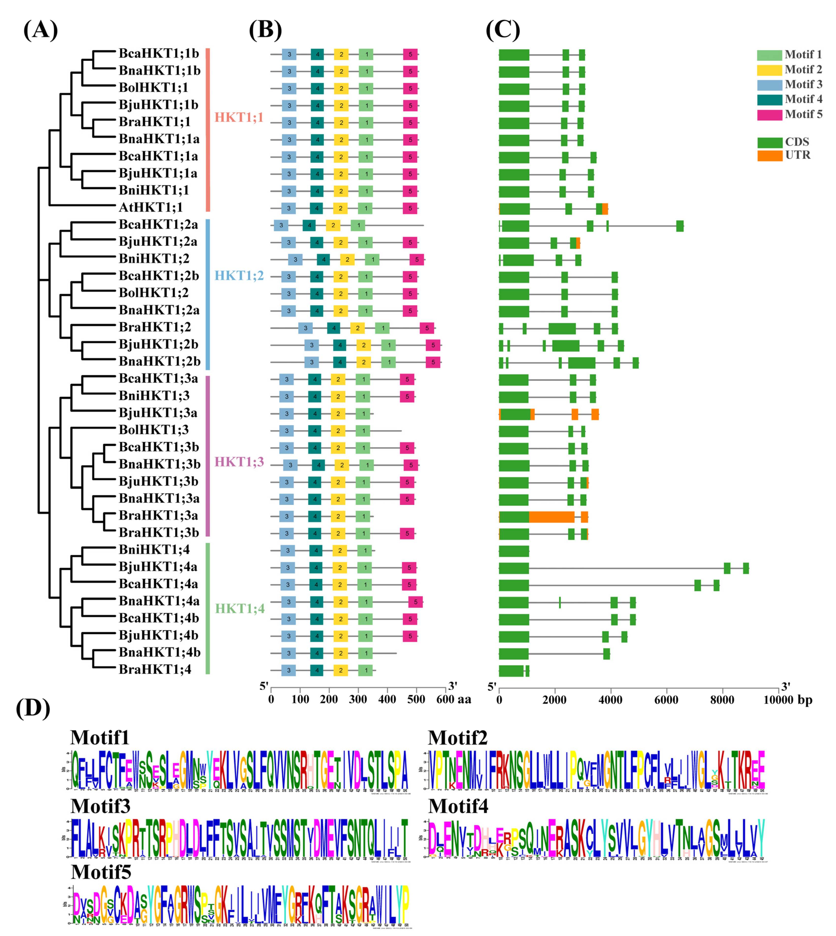 Plants 12 03768 g003