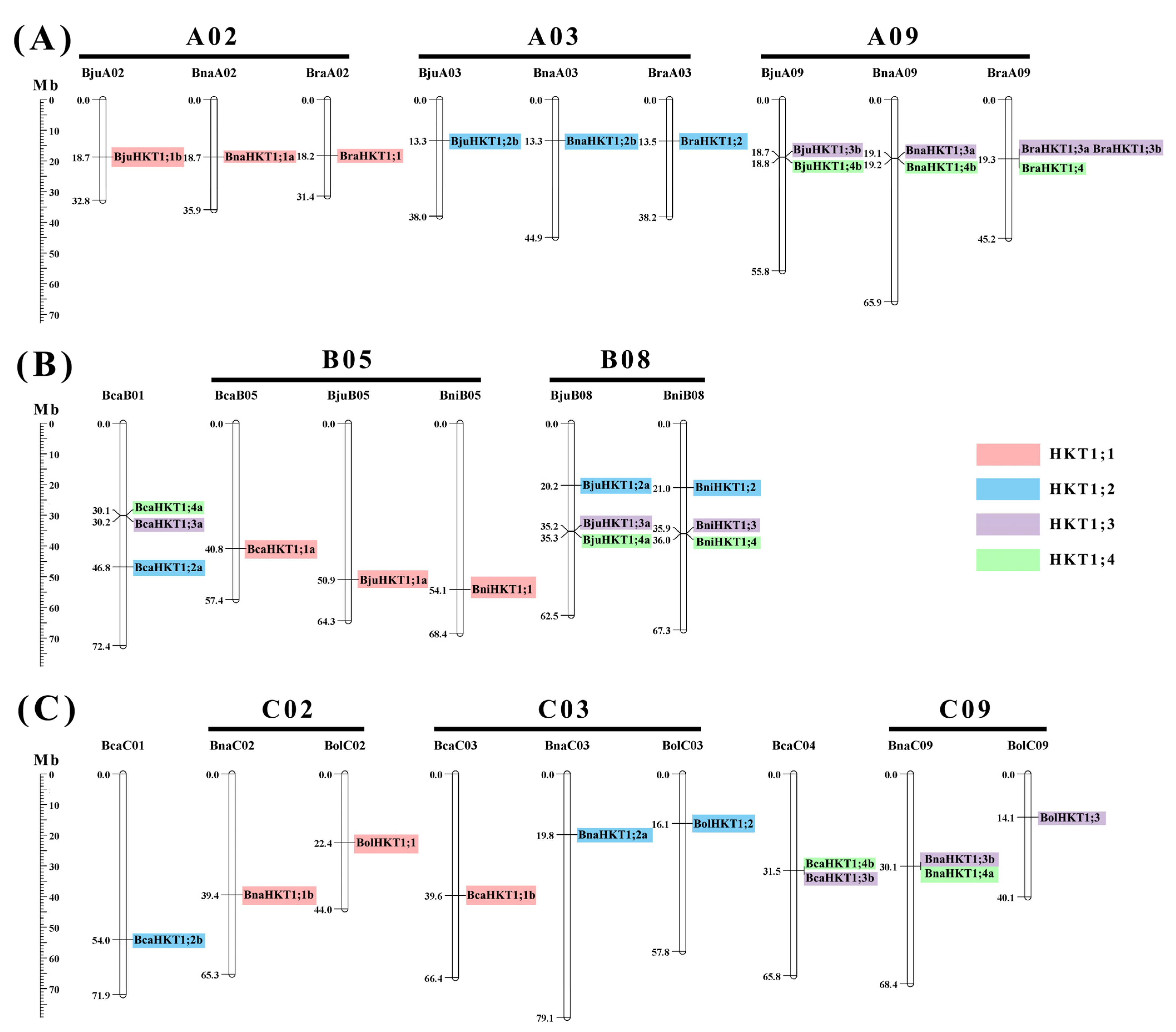 Plants 12 03768 g004