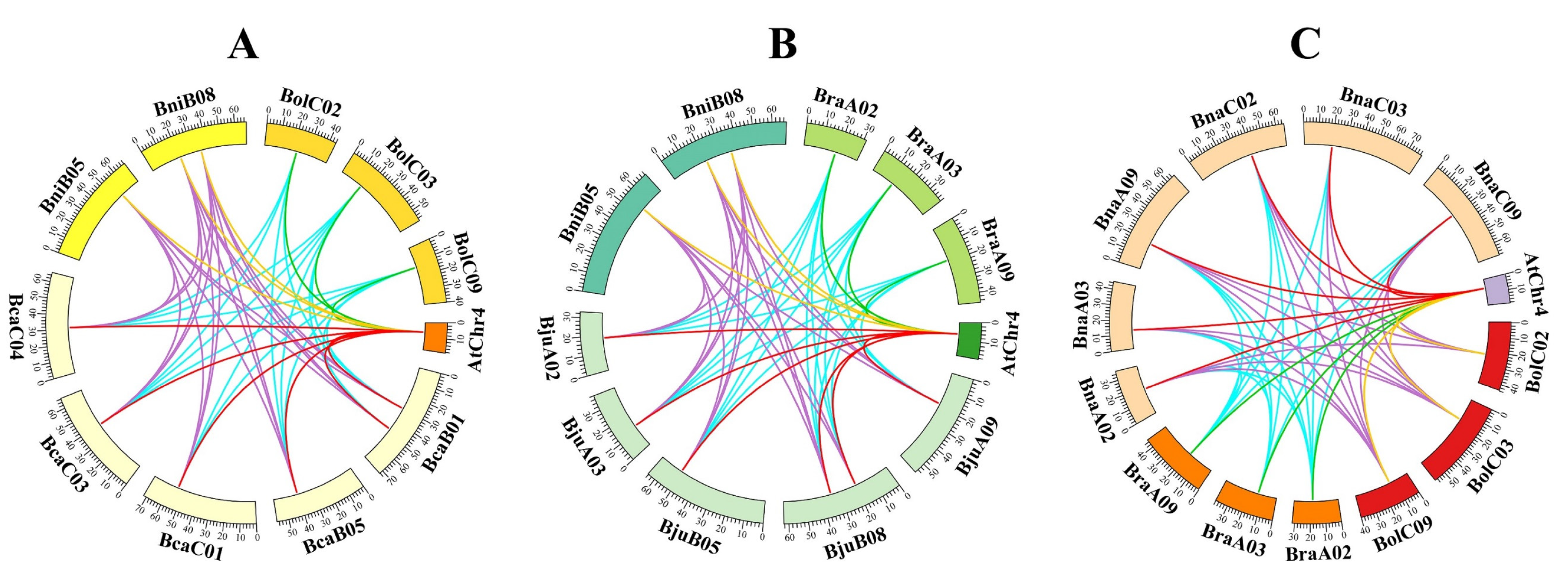 Plants 12 03768 g005