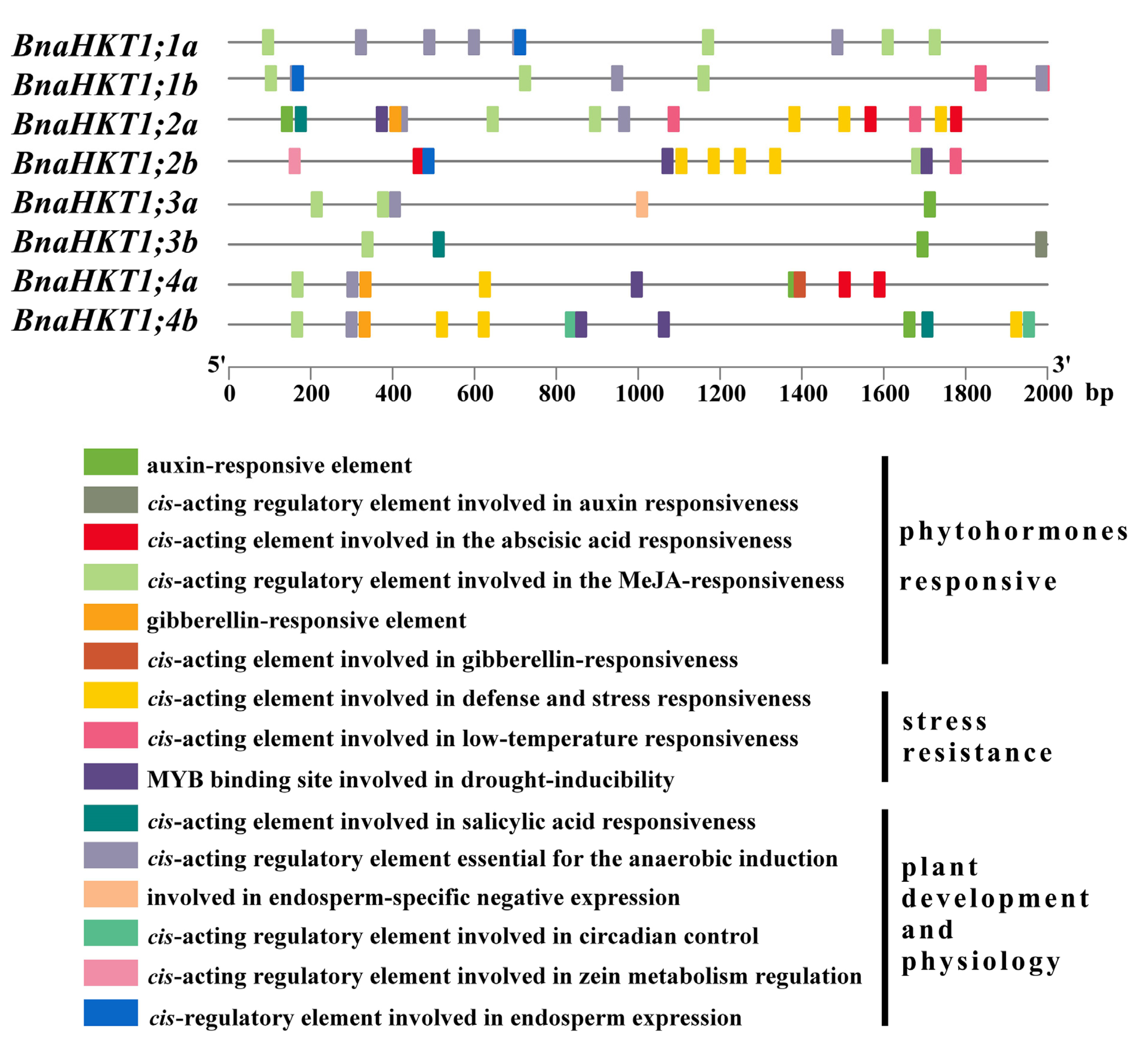 Plants 12 03768 g009