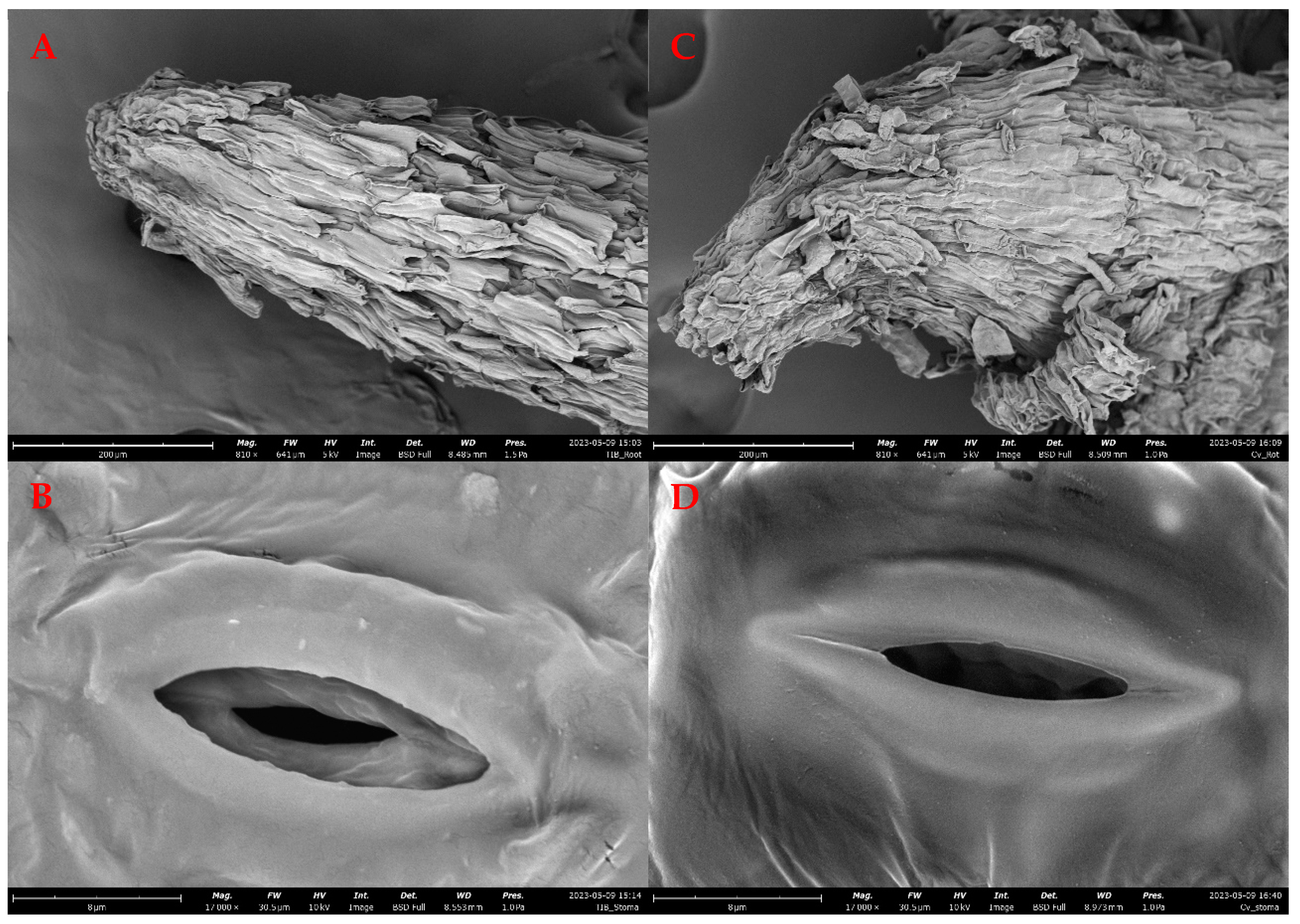 Plants 12 03770 g003