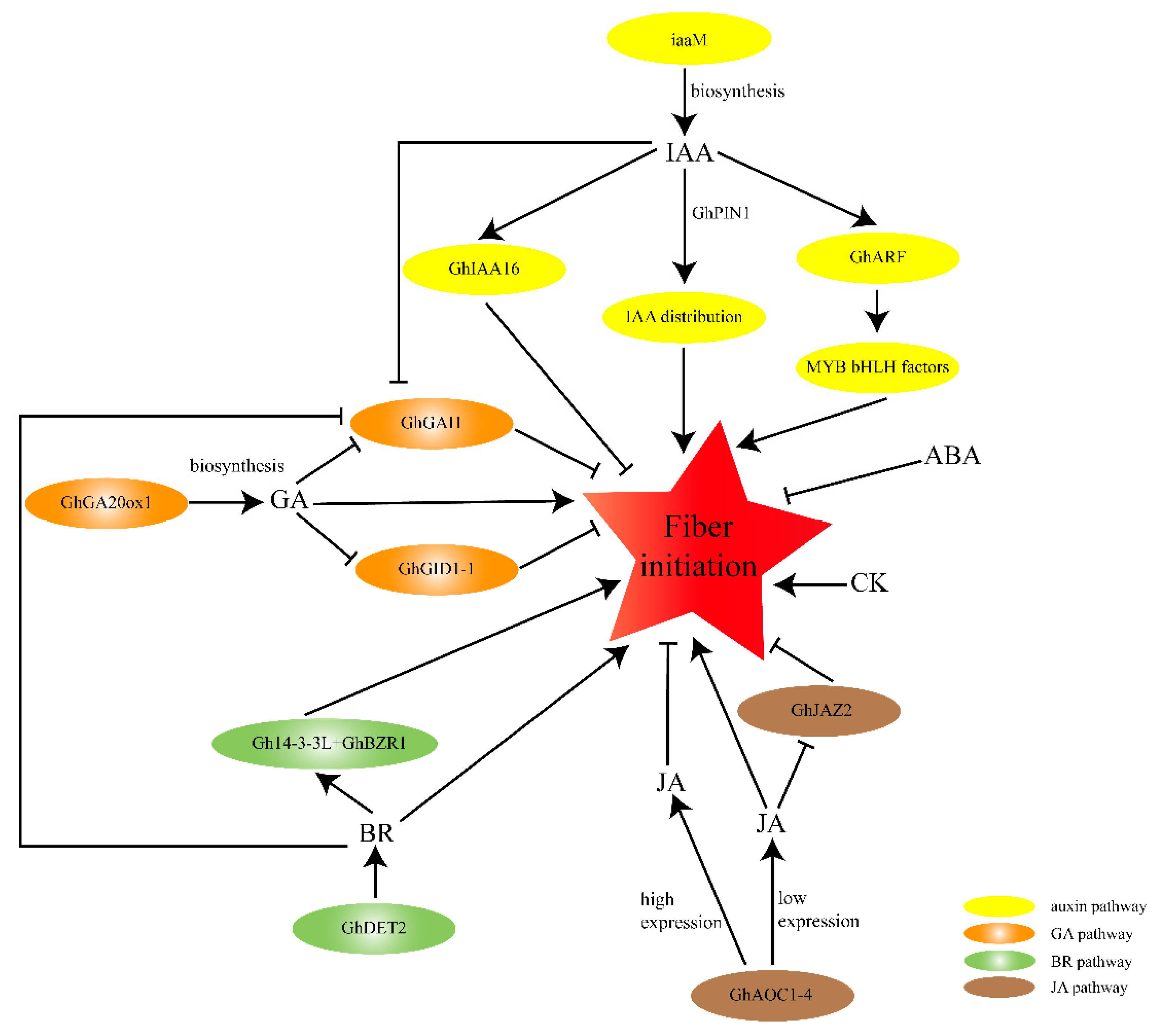 Plants 12 03771 g002