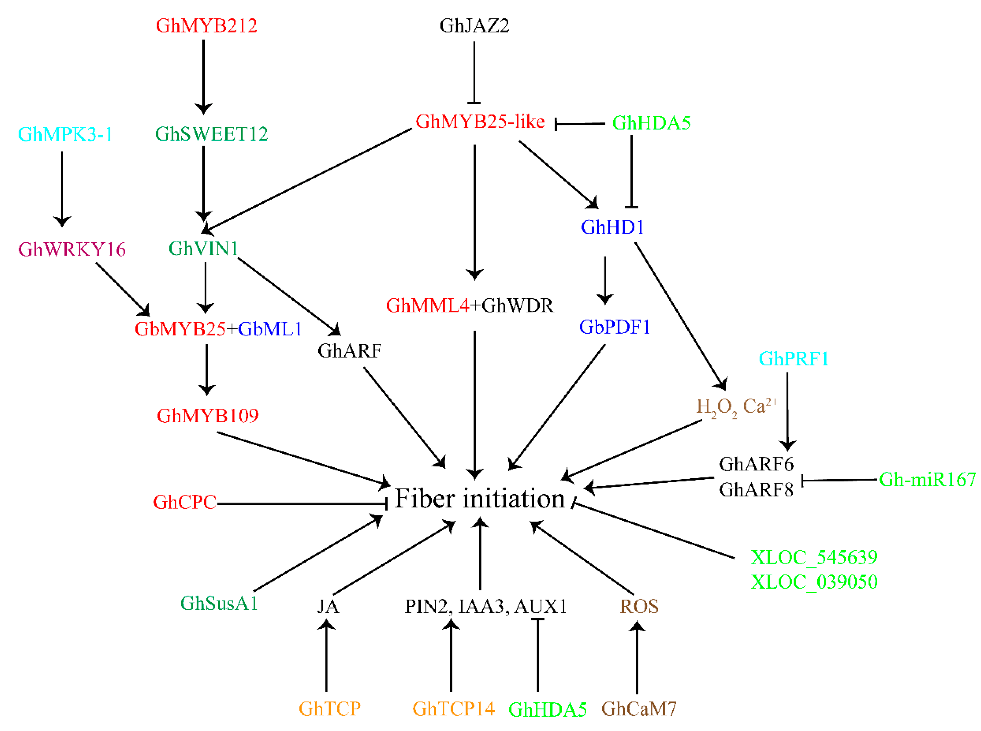 Plants 12 03771 g003