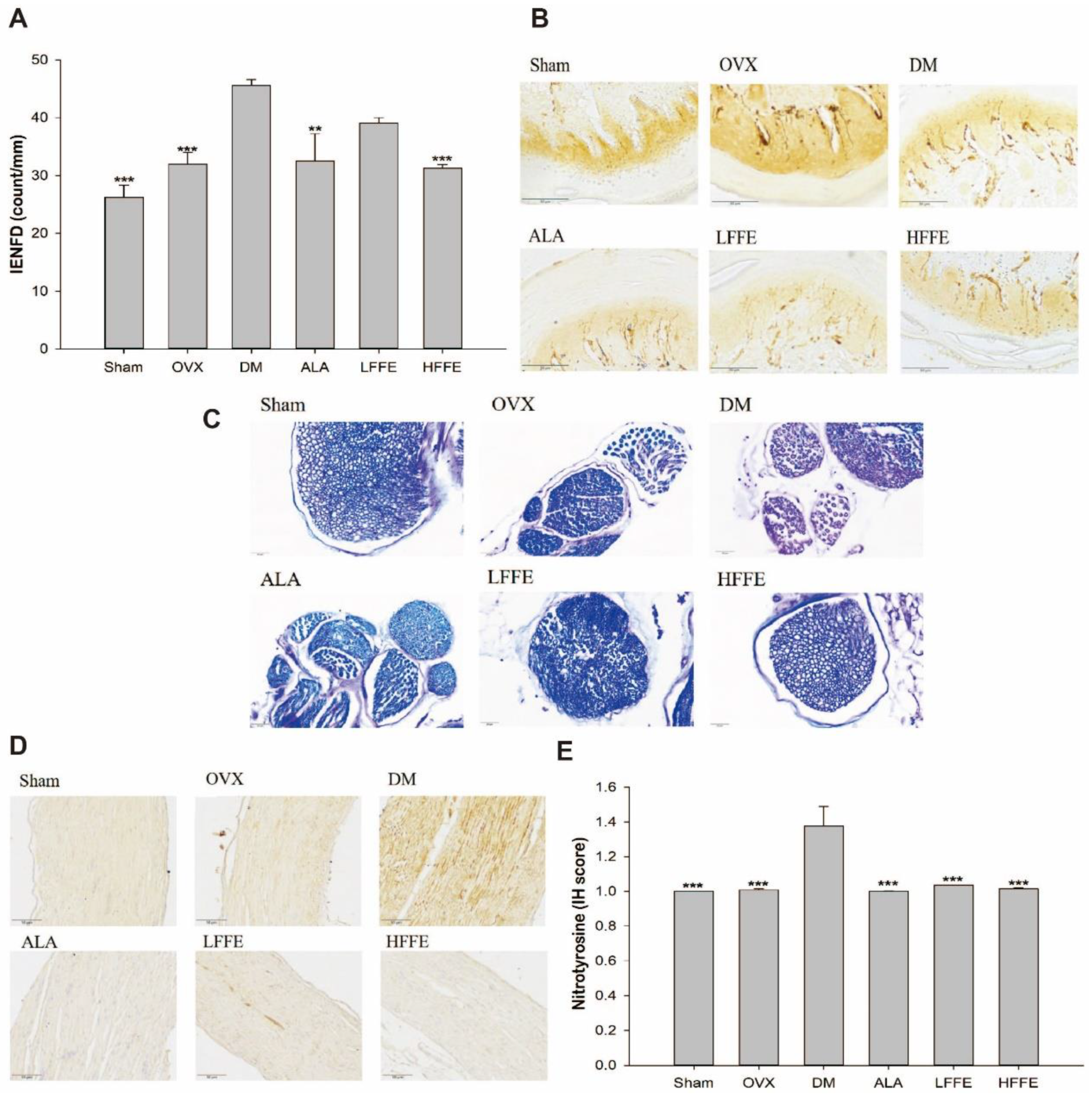 Plants 12 03774 g002